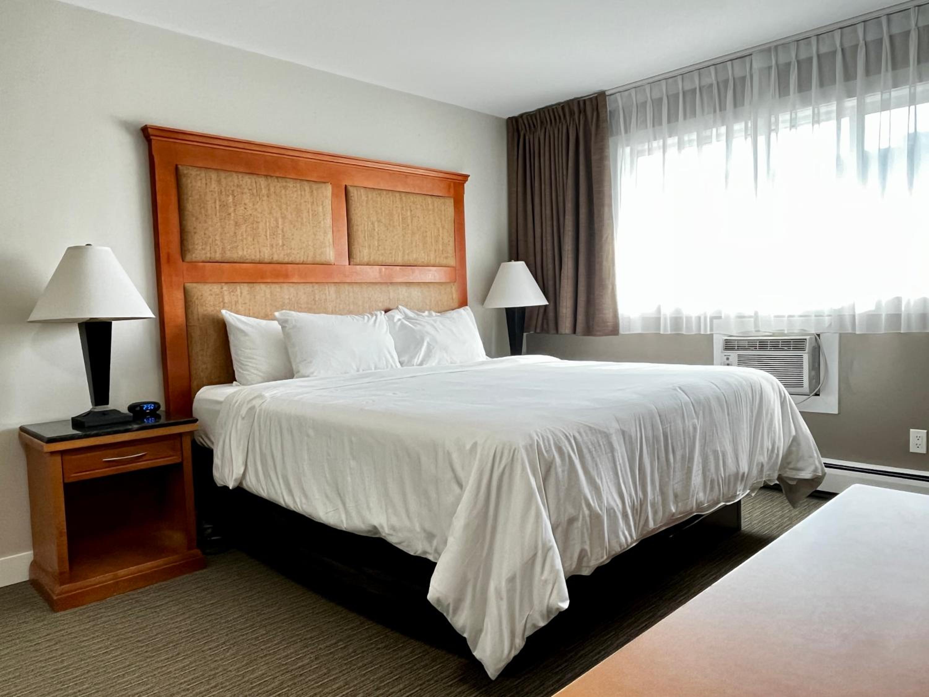 Deluxe King Suite - Photo 1