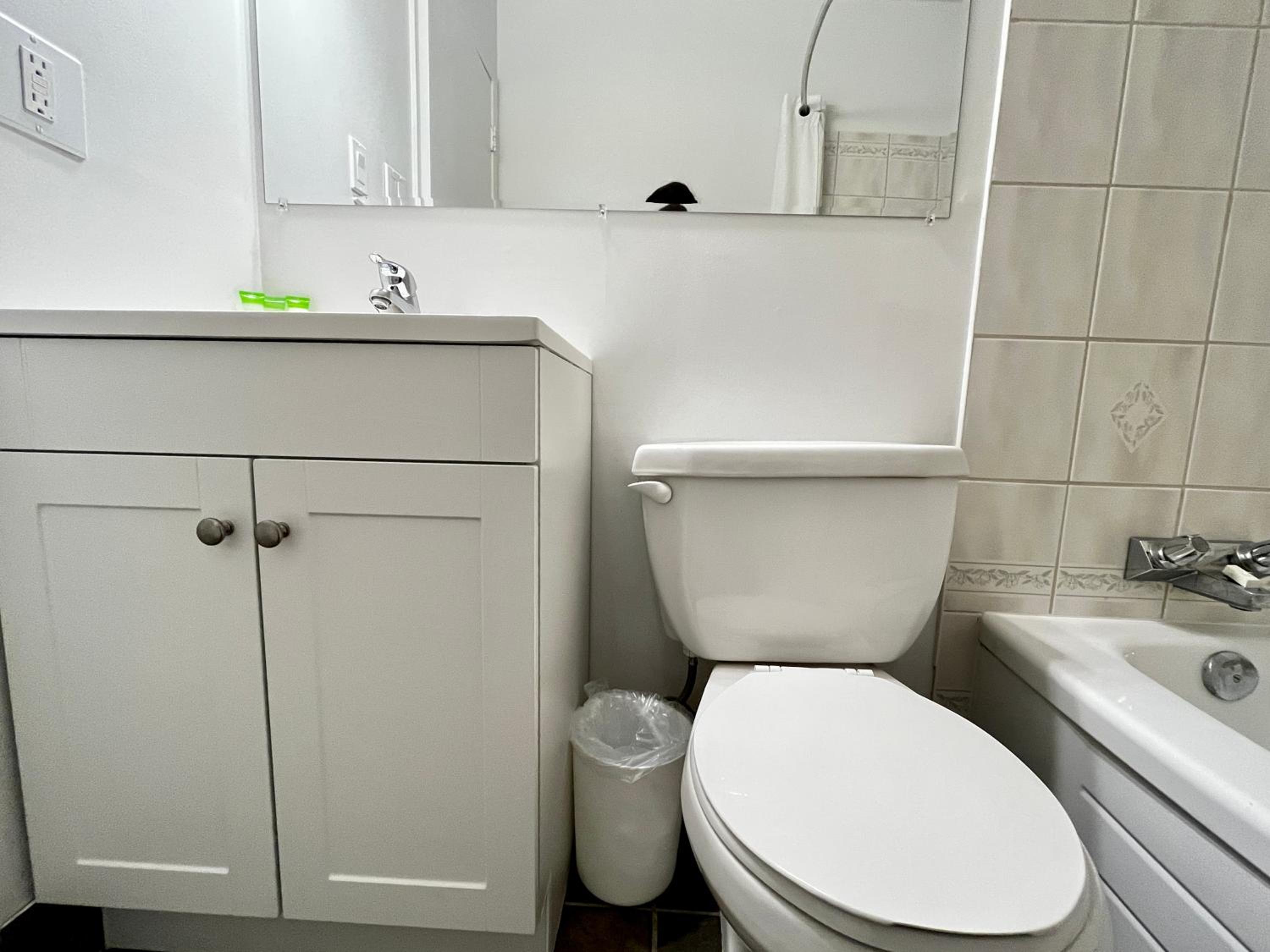 Deluxe King Suite - Photo 6