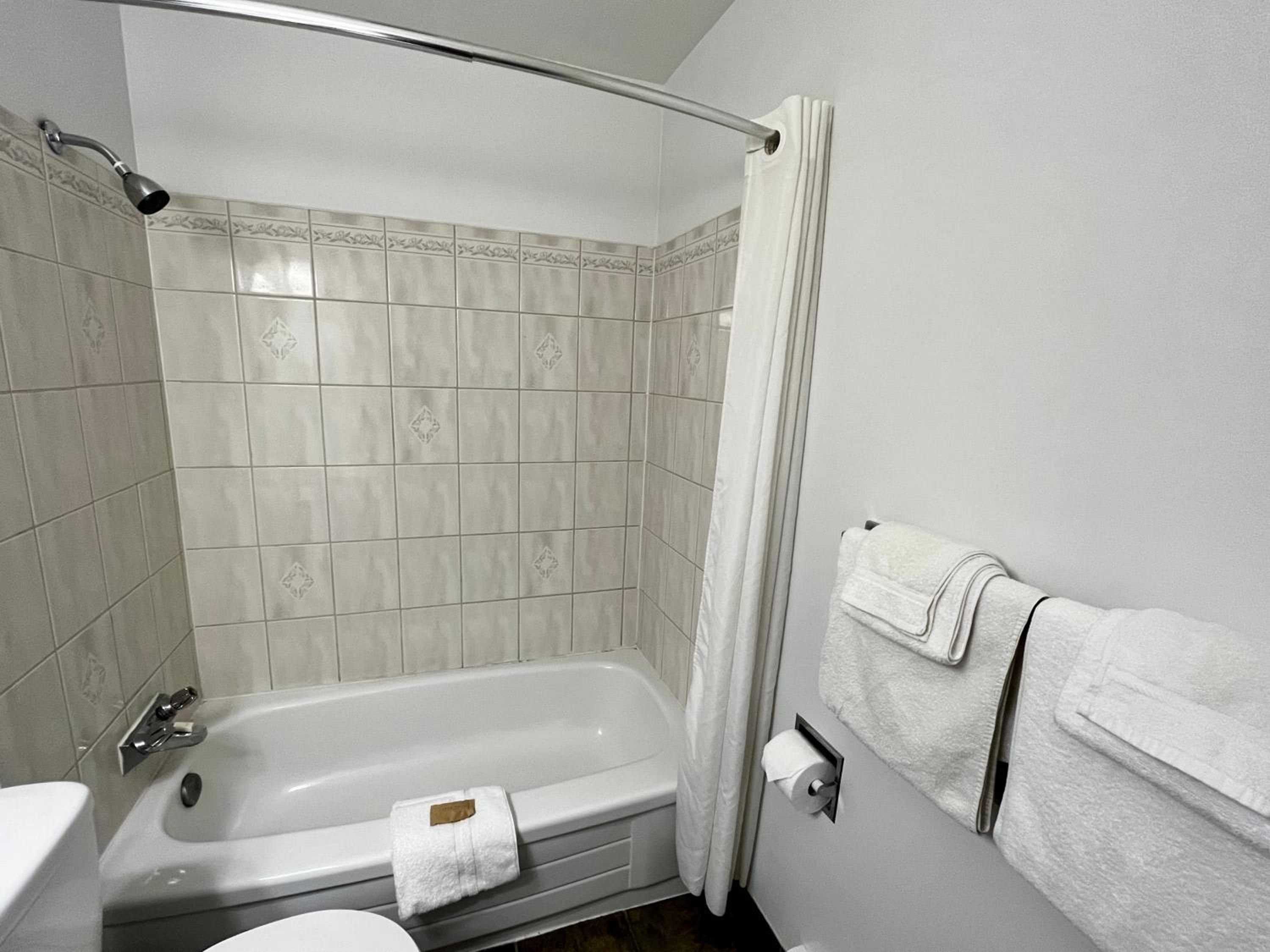 Deluxe Queen Suite - Photo 11