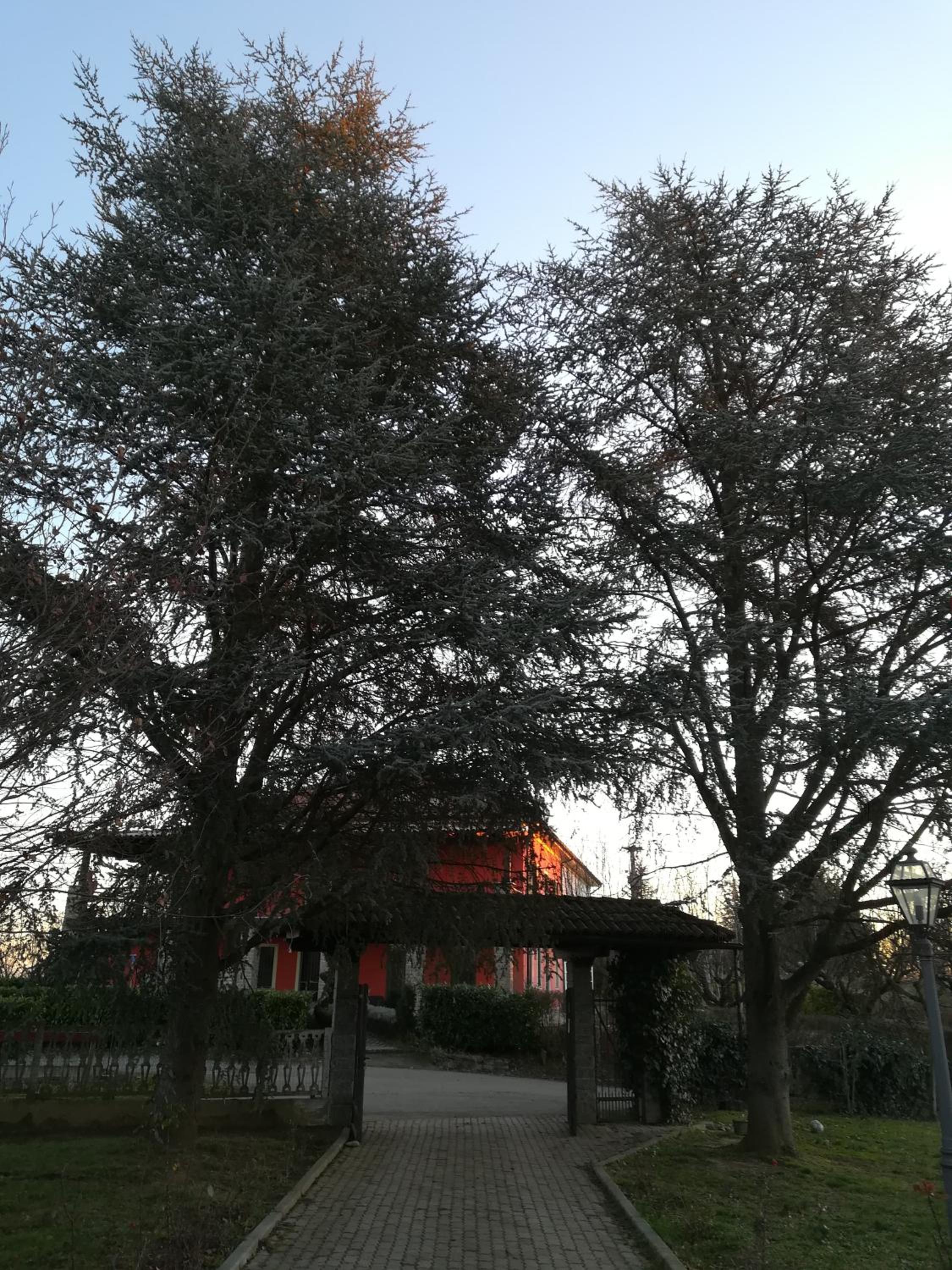 Apartment - Photo 8
