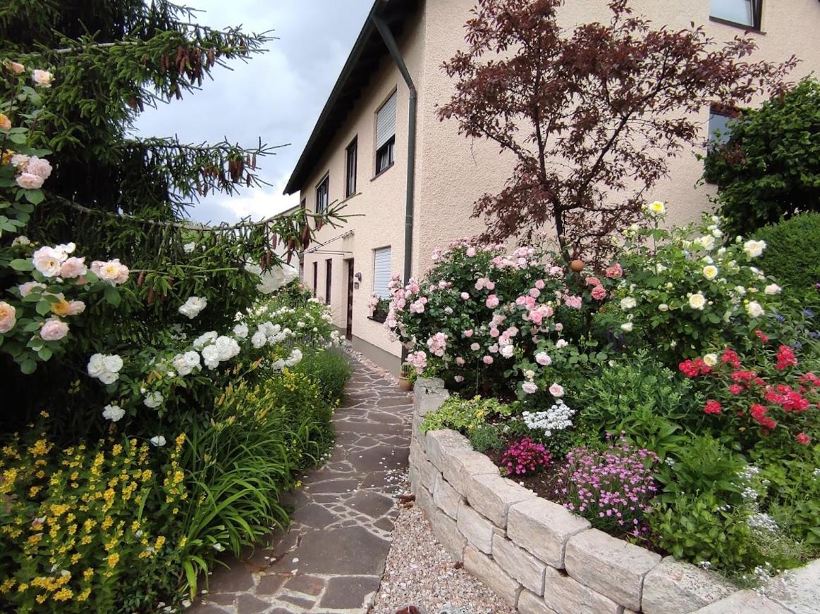 Apartment with Terrace photo 3