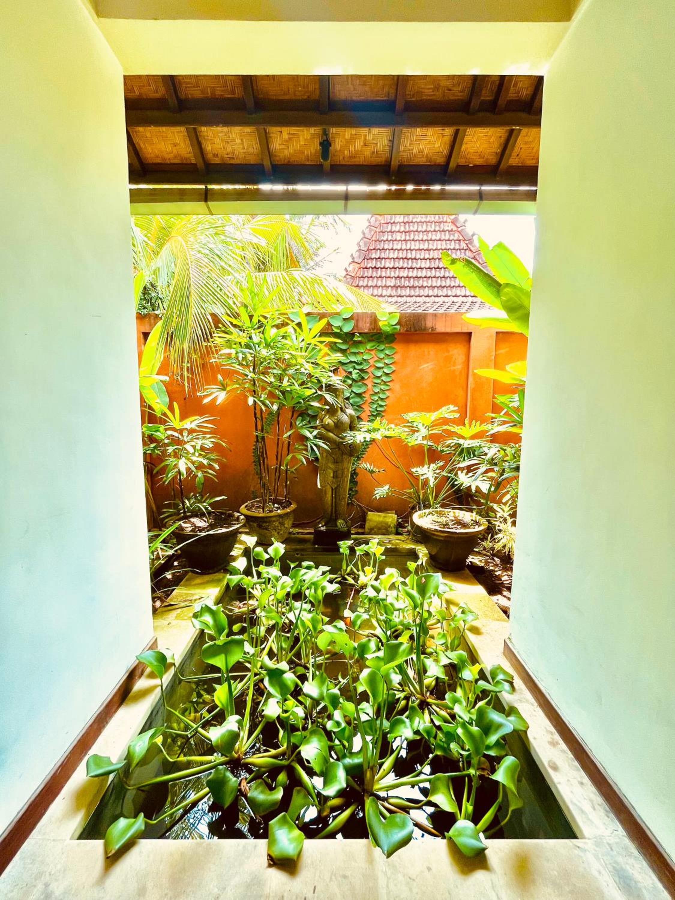 Three-Bedroom Villa photo 2