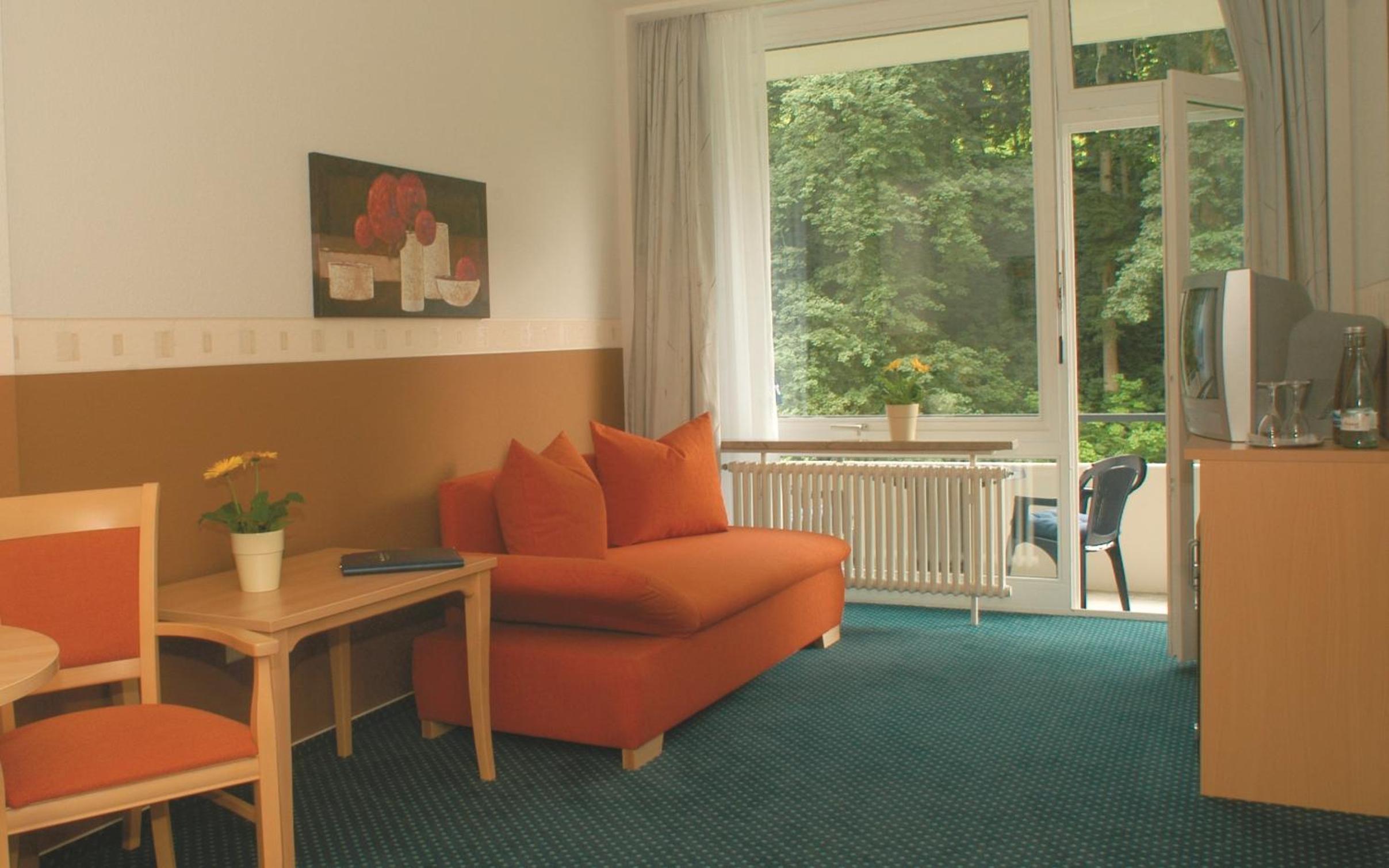 One-Bedroom Apartment - Disability Access photo 1
