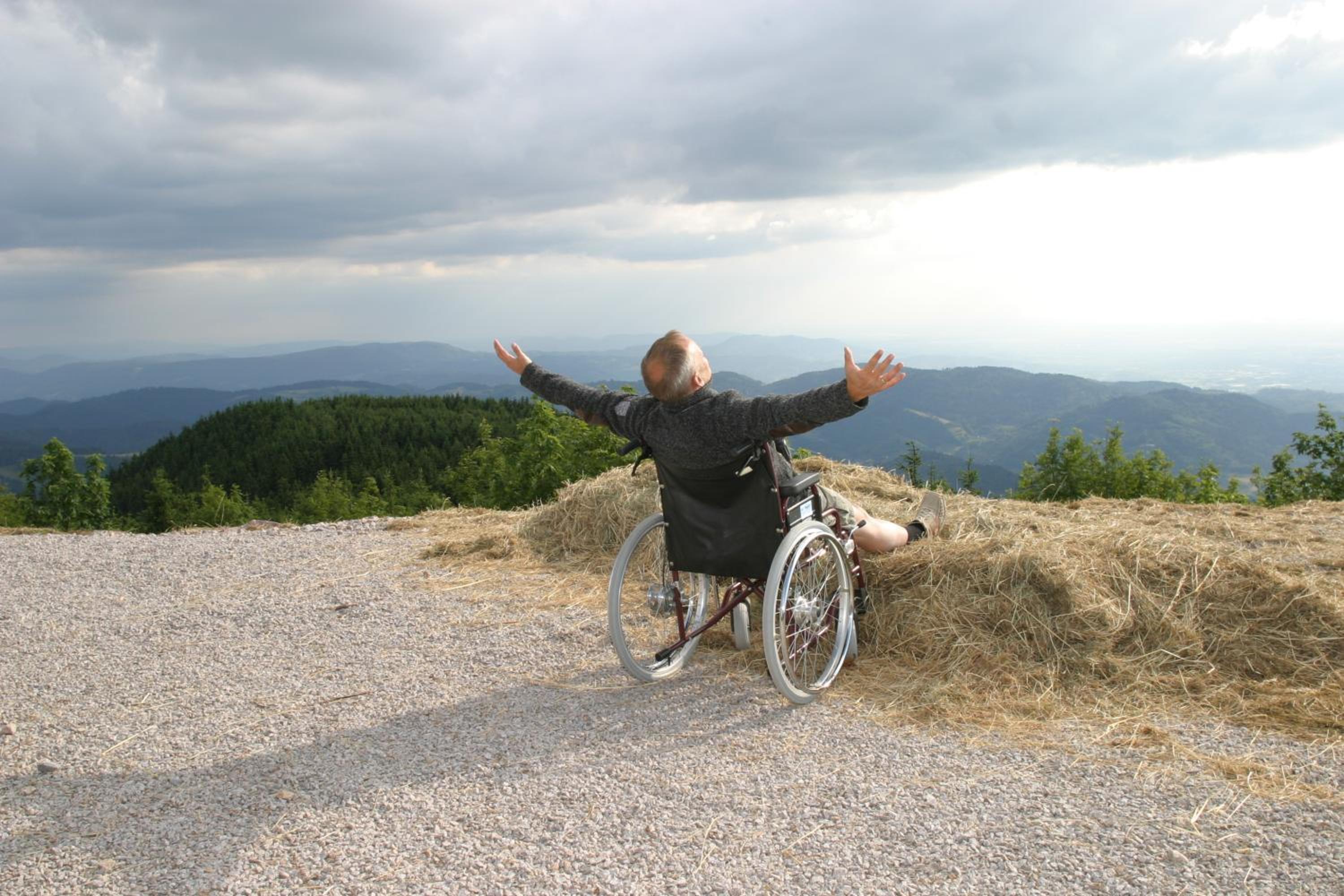 One-Bedroom Apartment - Disability Access photo 2