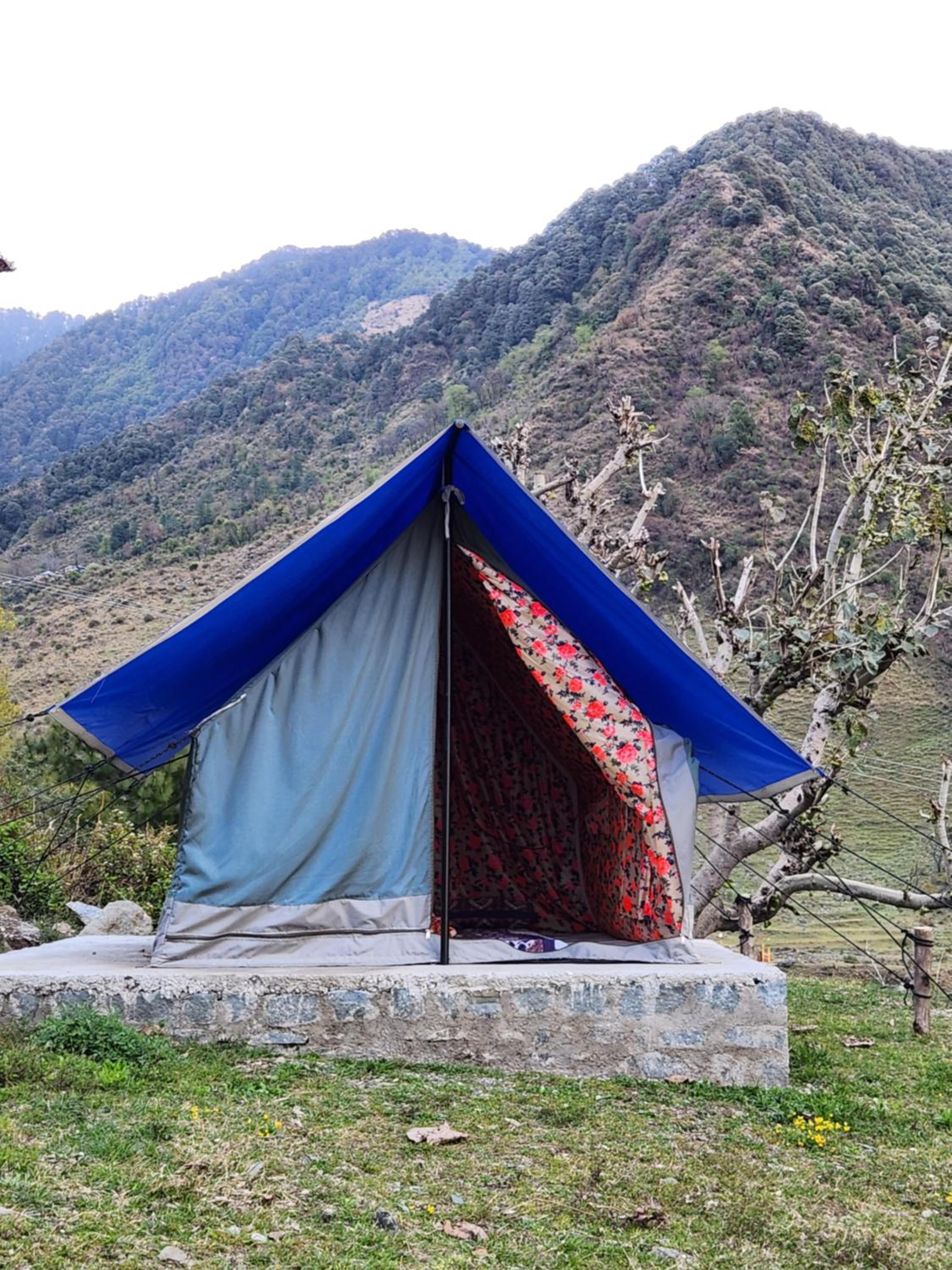 Tent photo 2