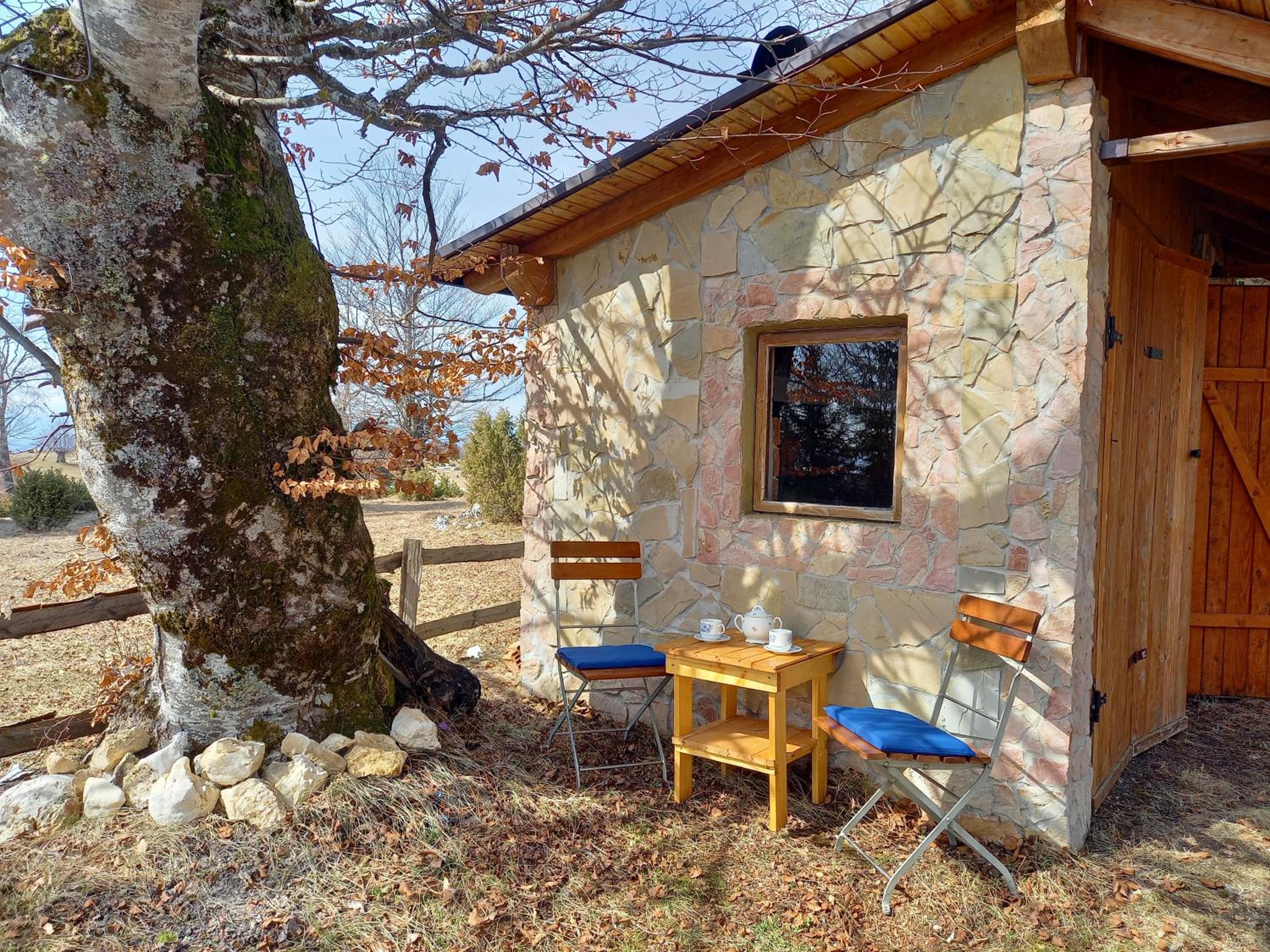 Three-Bedroom House photo 2