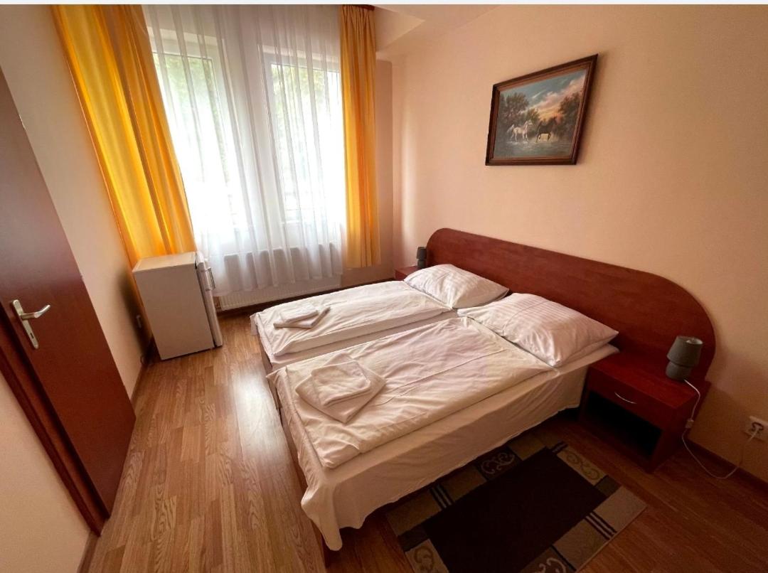 Suite - Photo 1