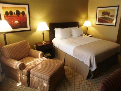 Queen Room - Disability Access With Roll In Shower /Non-Smoking 