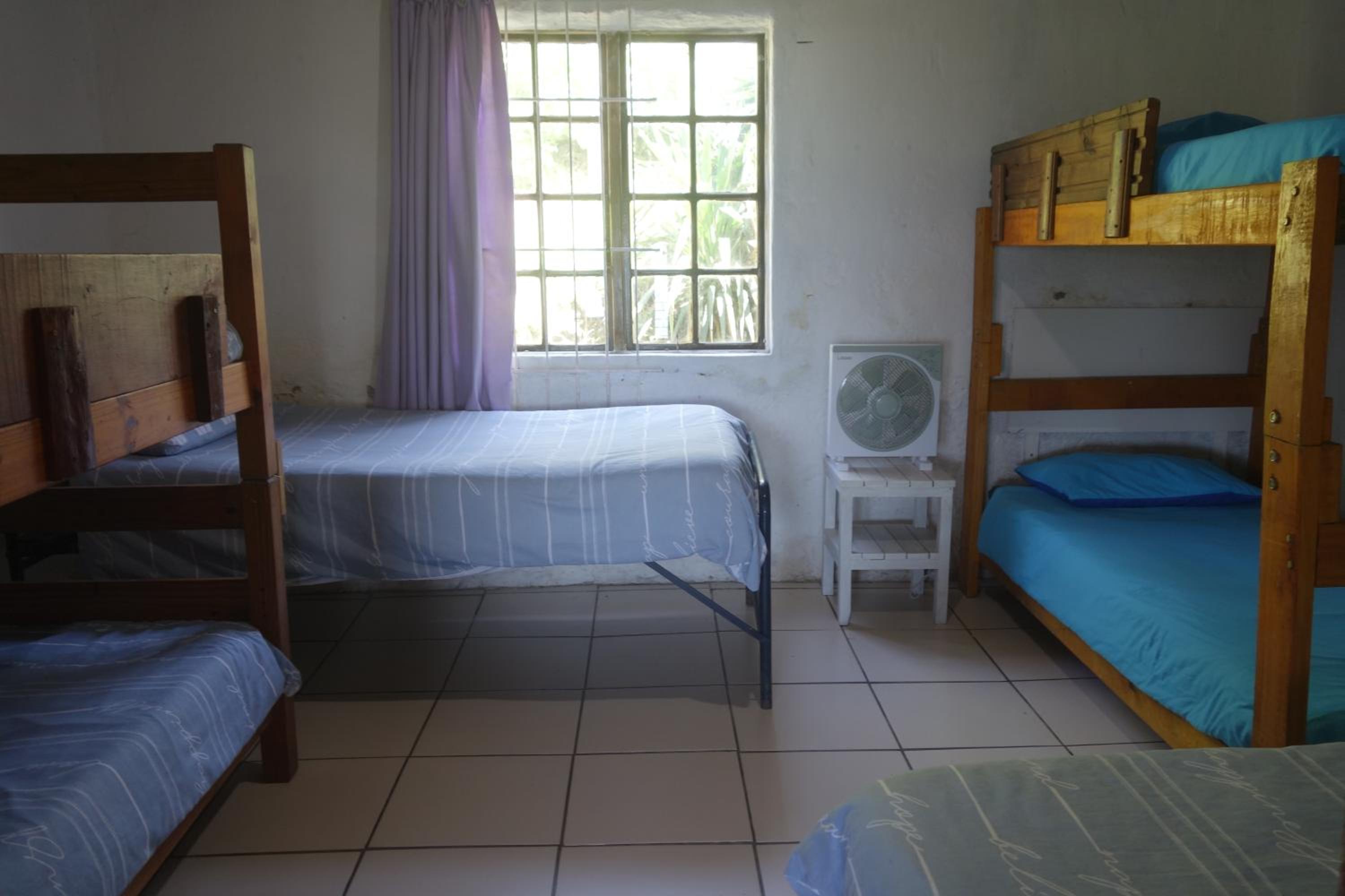 4-Bed Mixed Dormitory Room photo 1