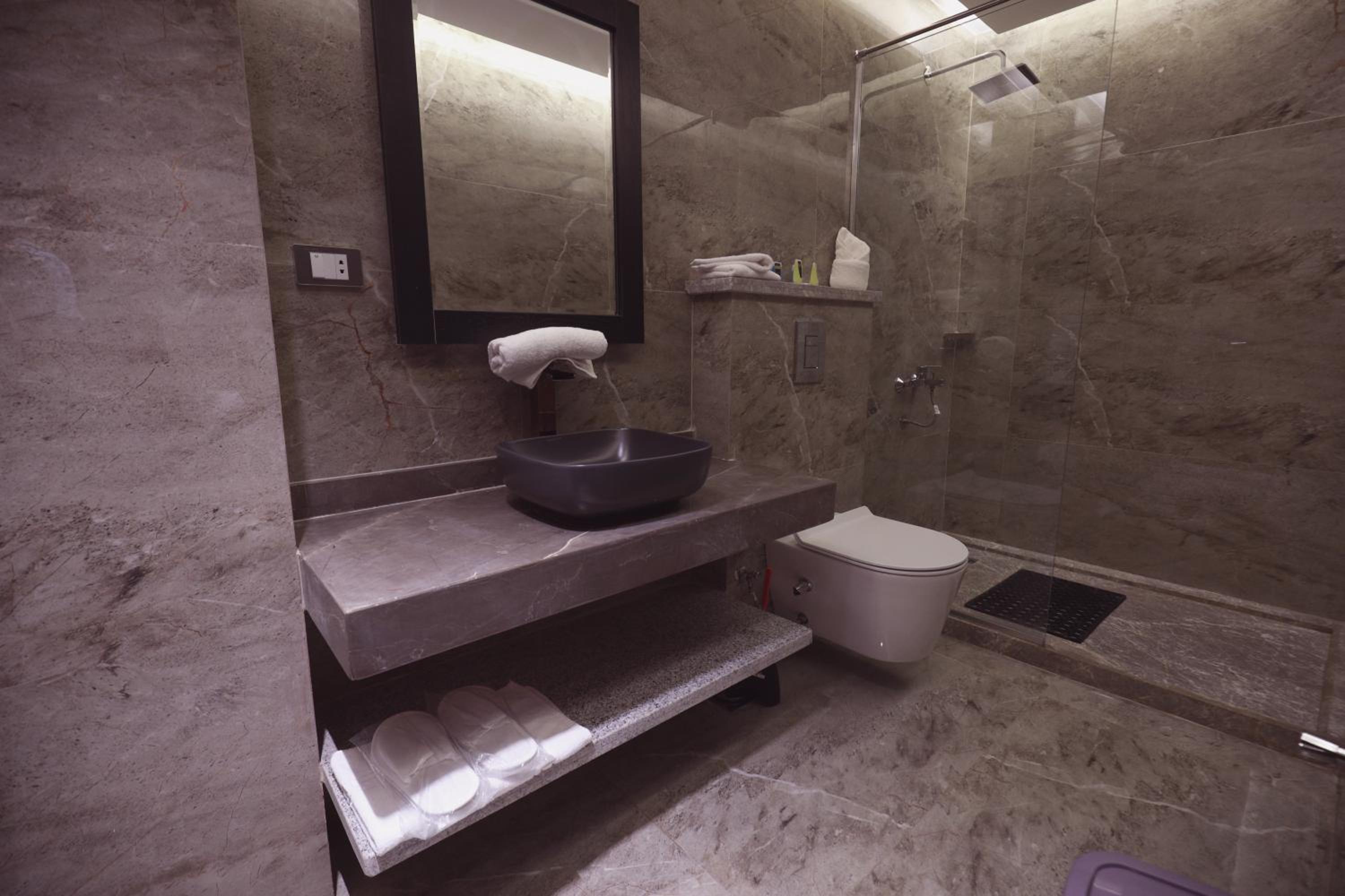 Deluxe Double Room photo 2