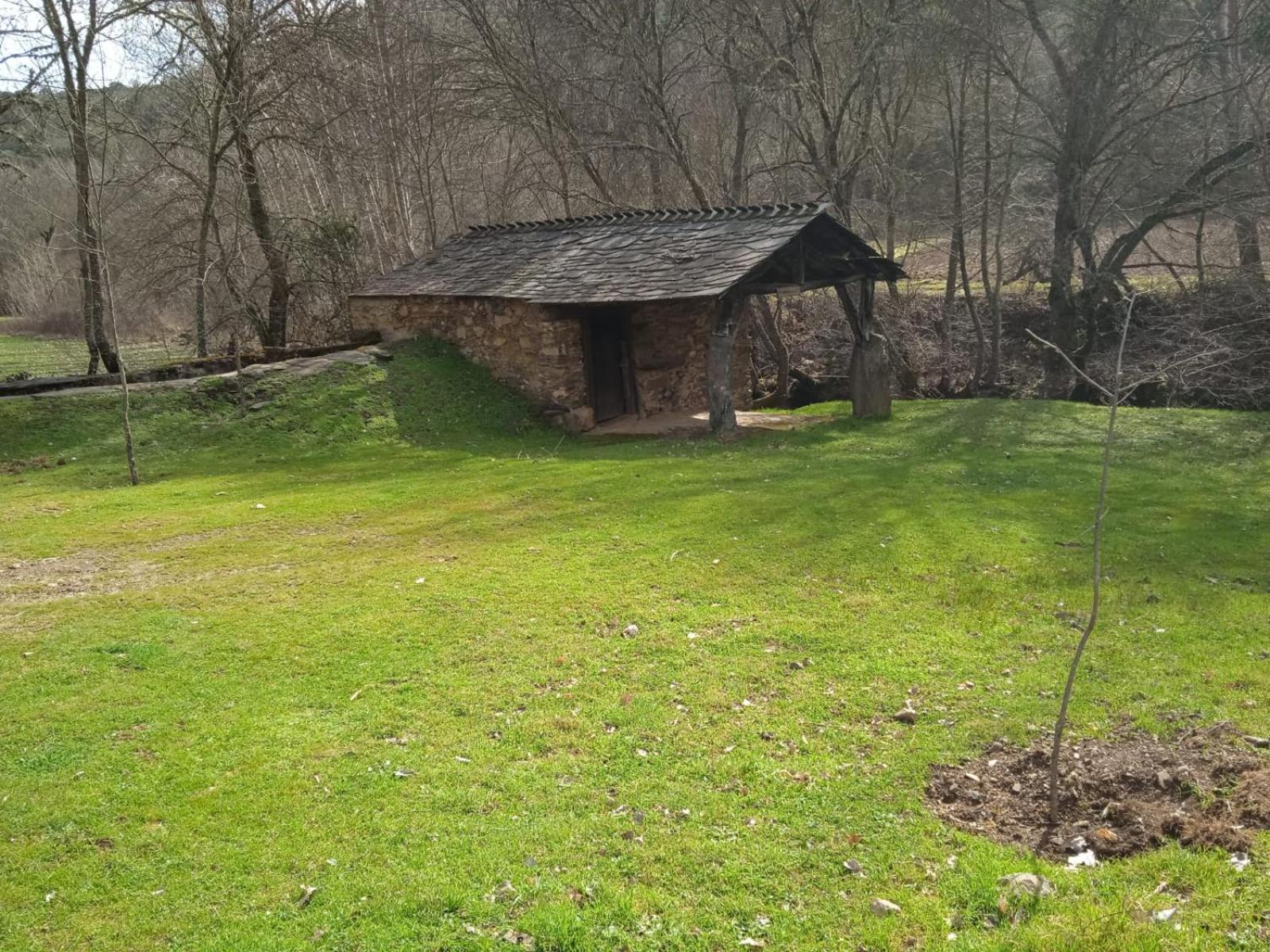Vacation Home photo 3