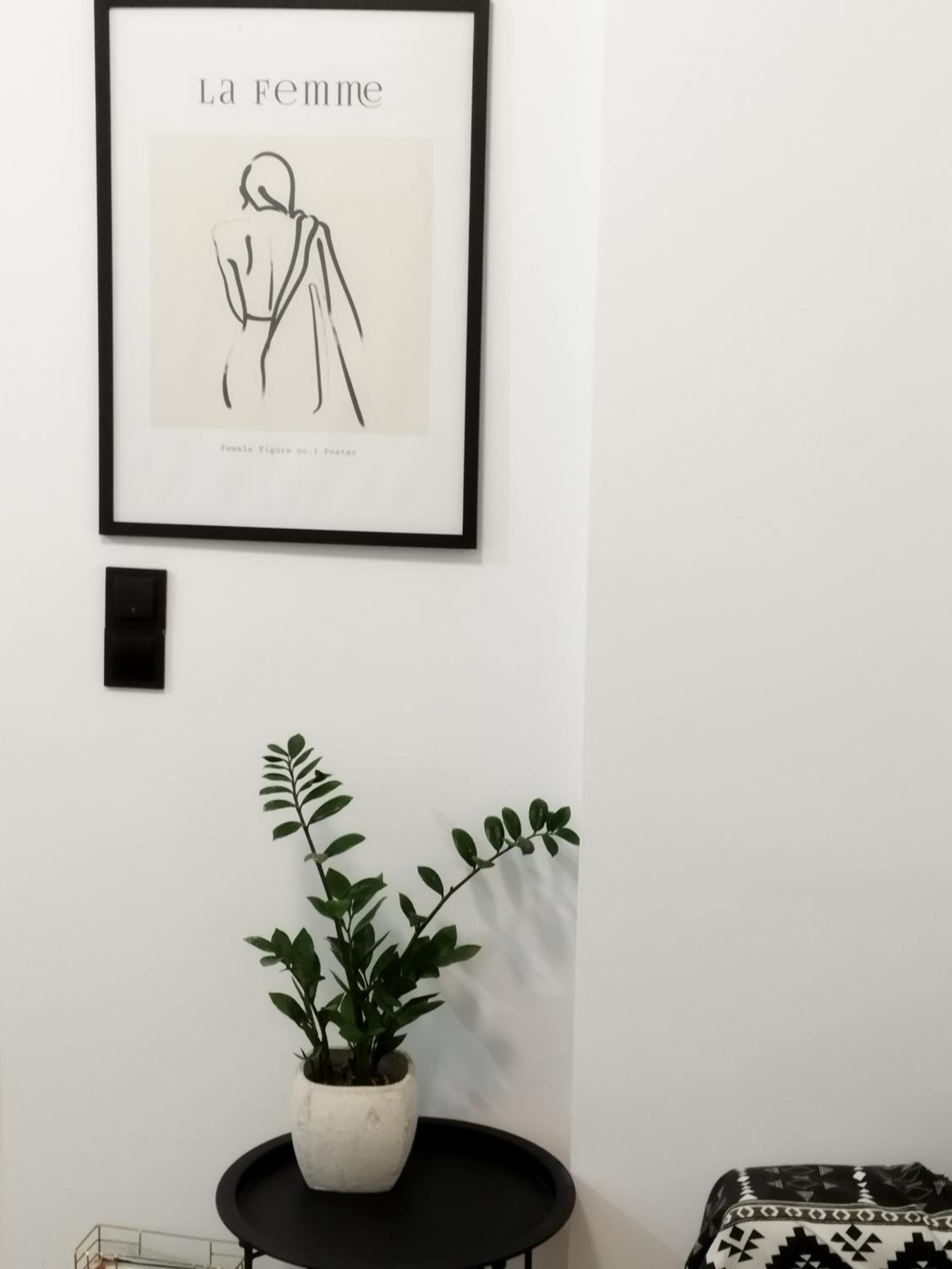 Superior Apartment photo 3
