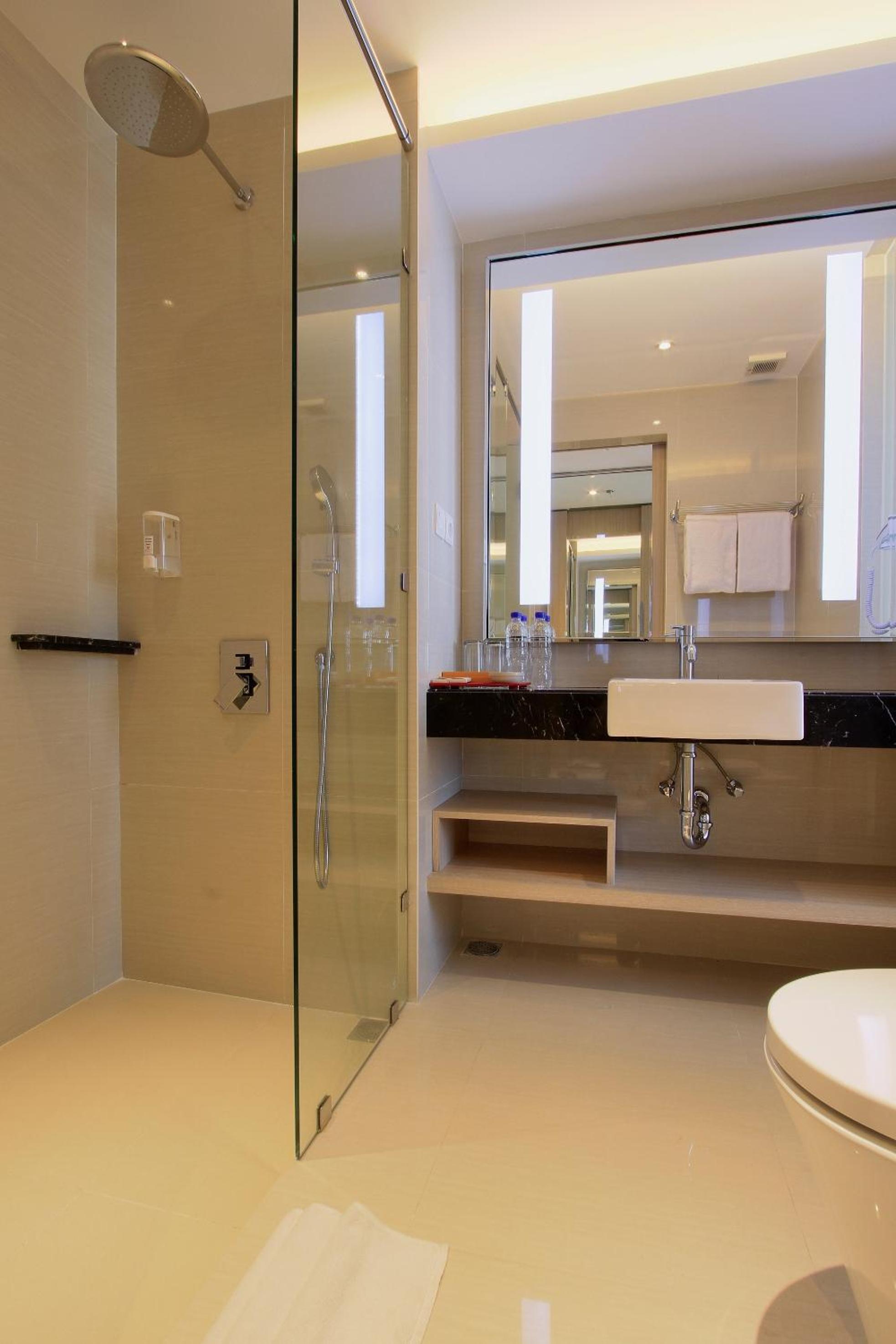 Deluxe Double or Twin Room with Extrabed photo 3