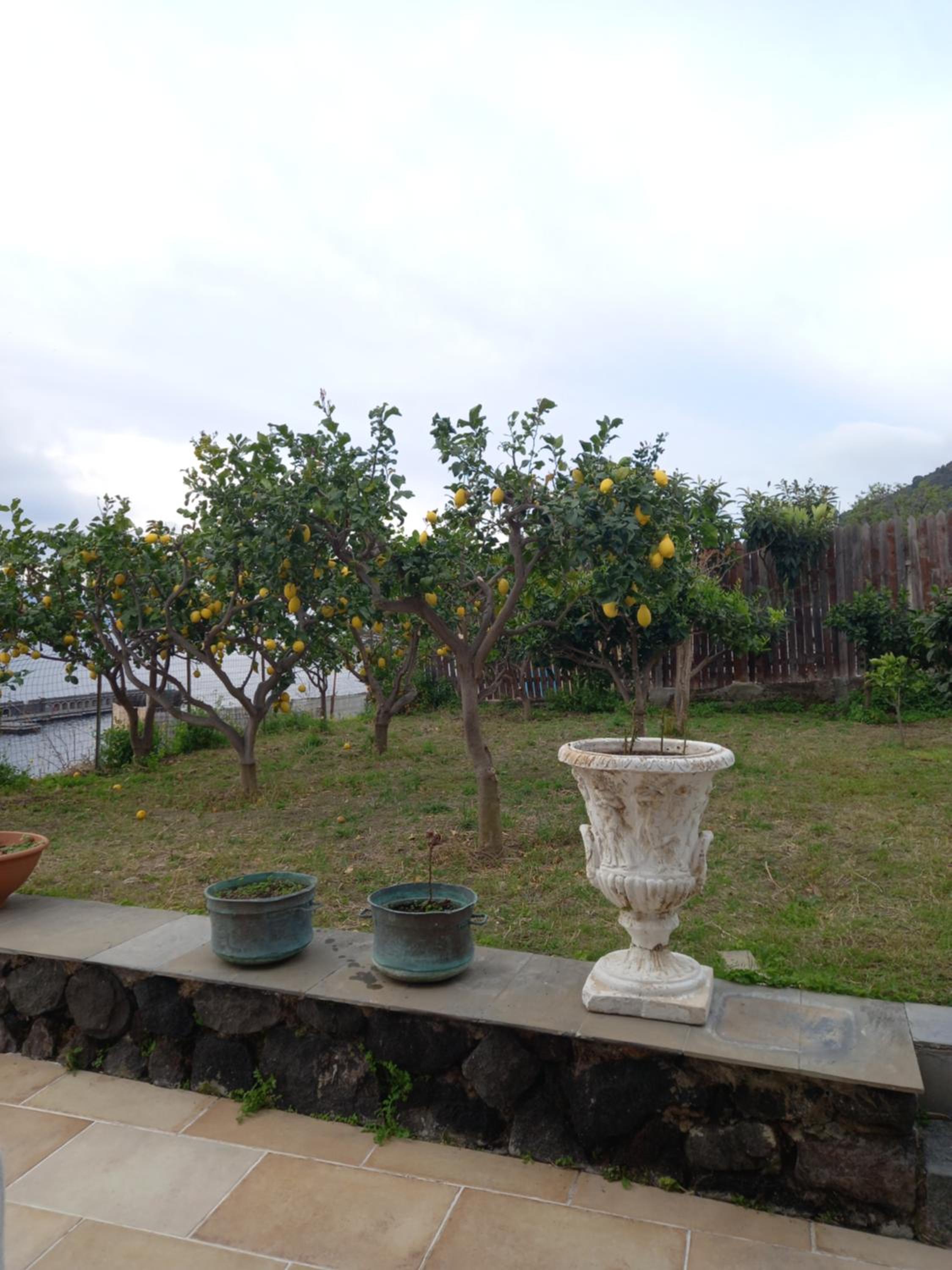 King Room With Garden View photo 3