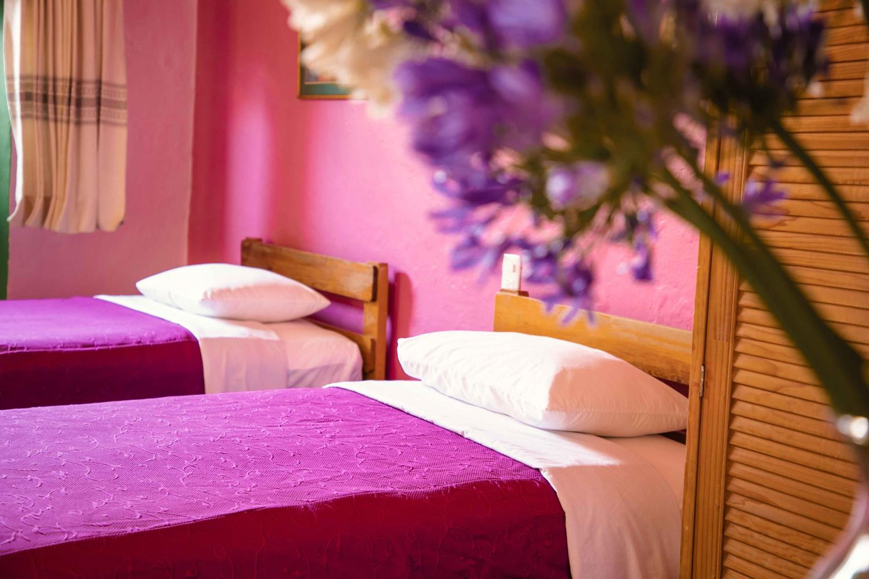 Twin Room photo 3