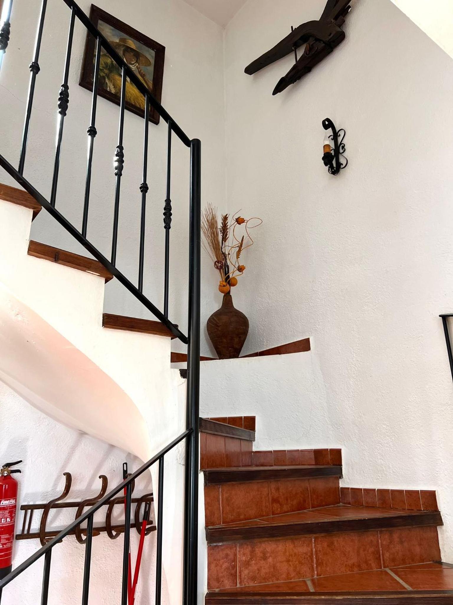 Apartment - Split Level photo 3