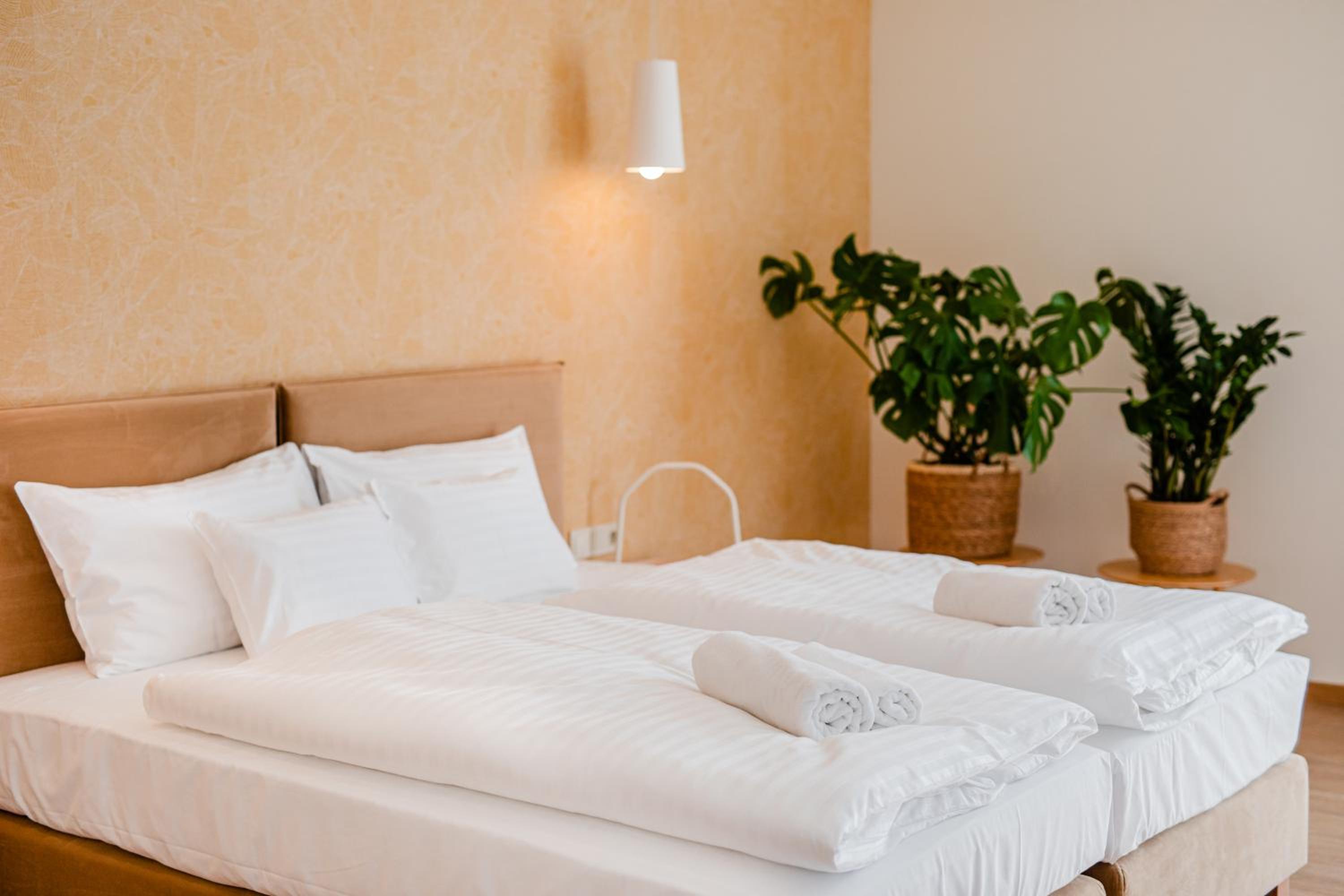 Double Room - Disability Access photo 3
