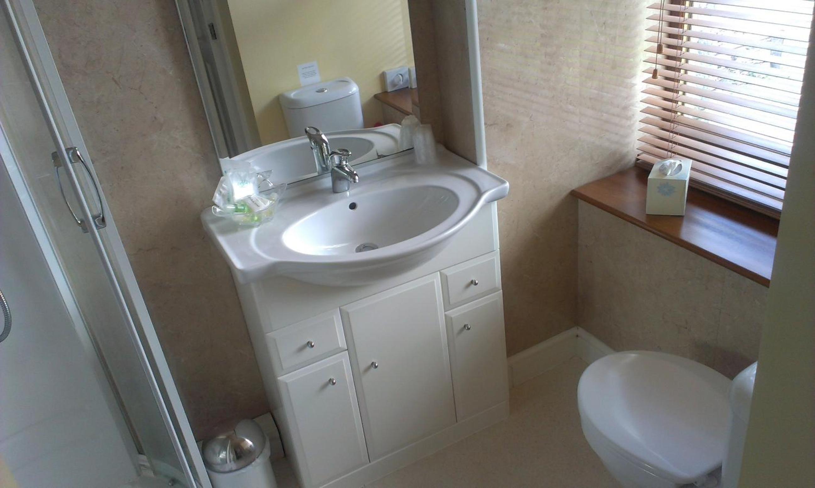 Deluxe Double or Twin Room with Shower photo 3