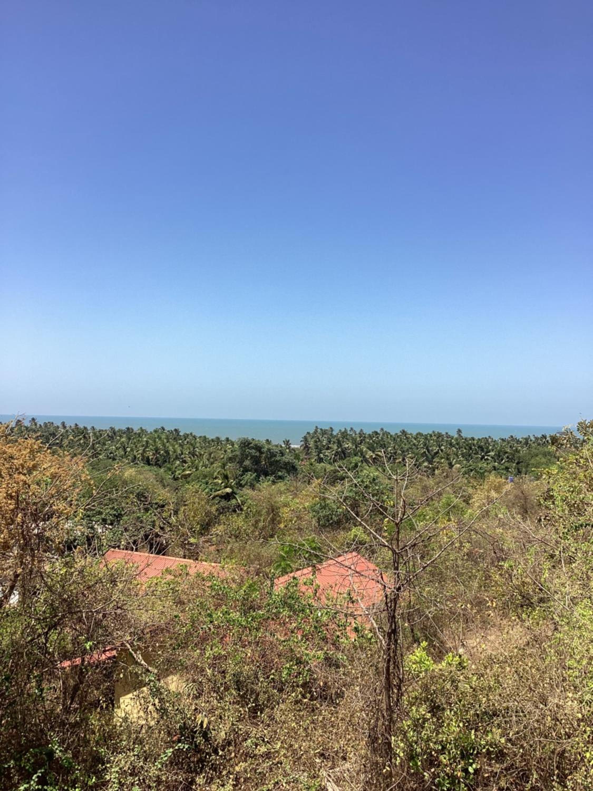 Villa With Sea View photo 3