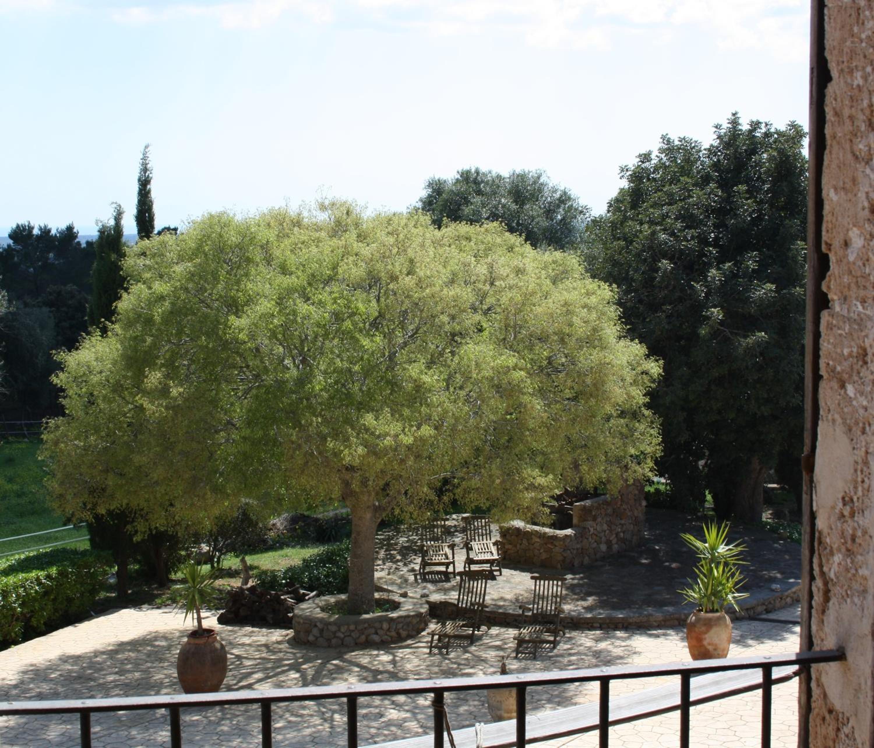 Standard Twin Room with Garden View photo 2