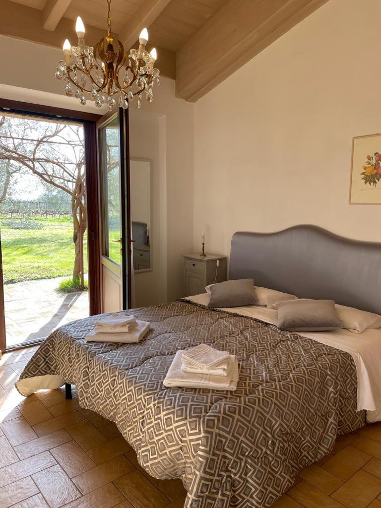 Superior Double Room photo 1