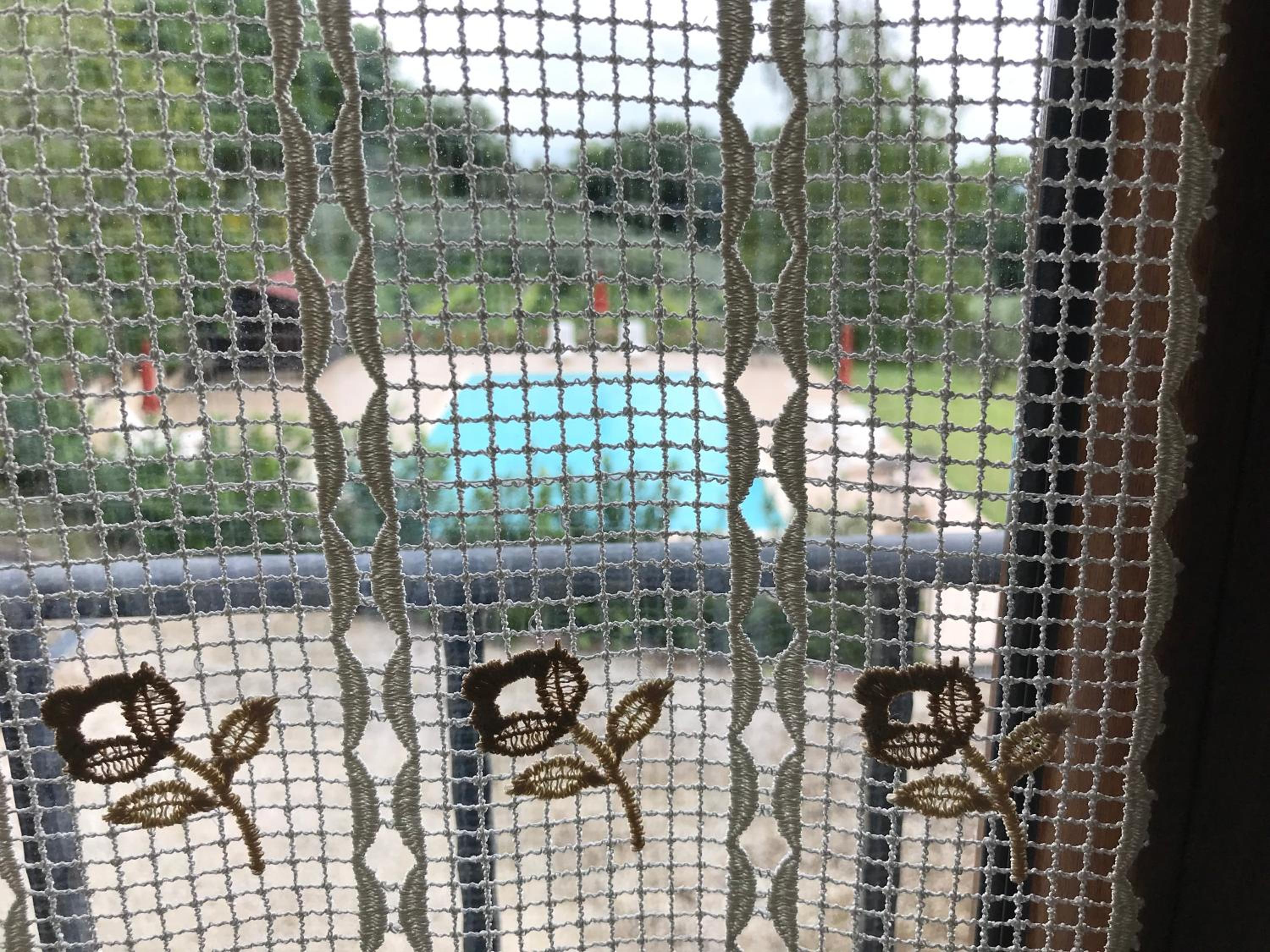 Queen Room with Pool View photo 1