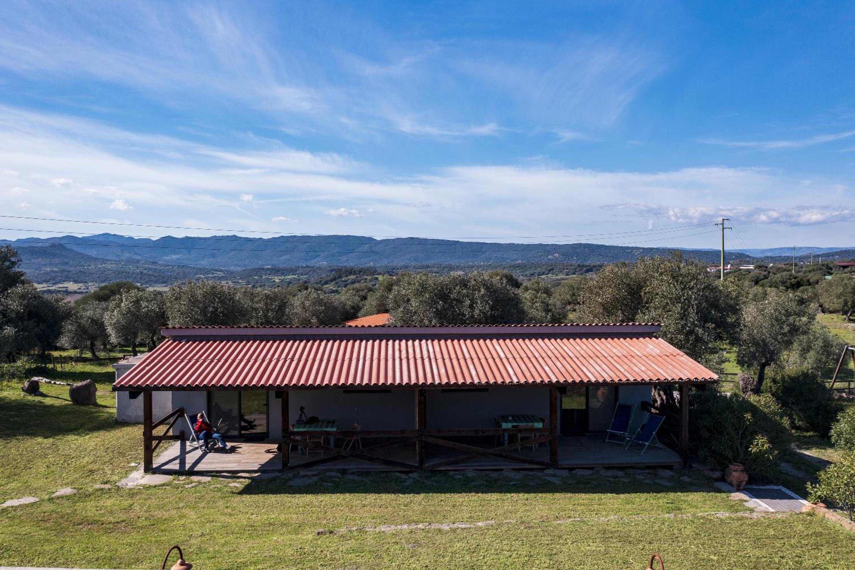 Studio with Terrace photo 3