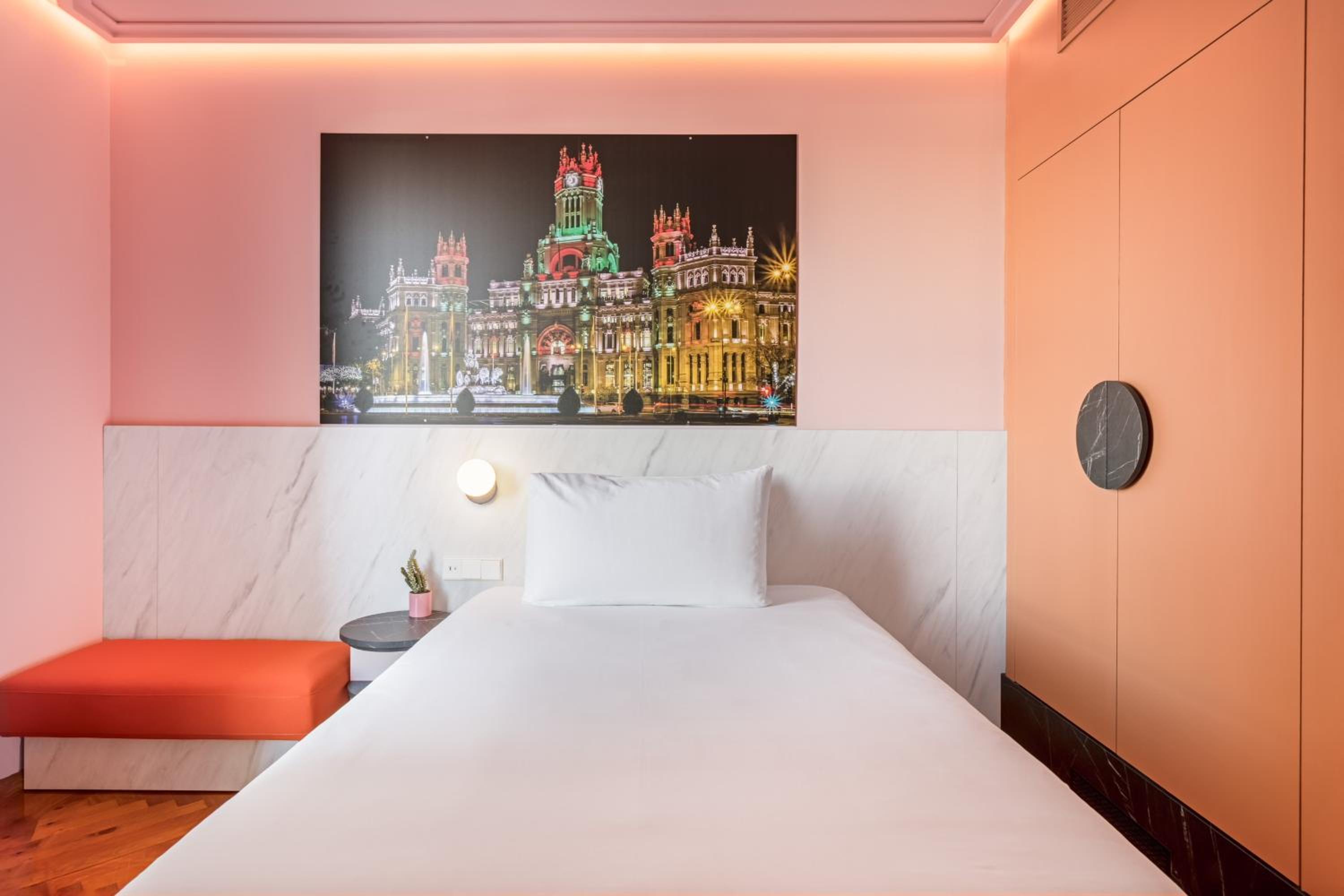 Single Room with Terrace photo 2