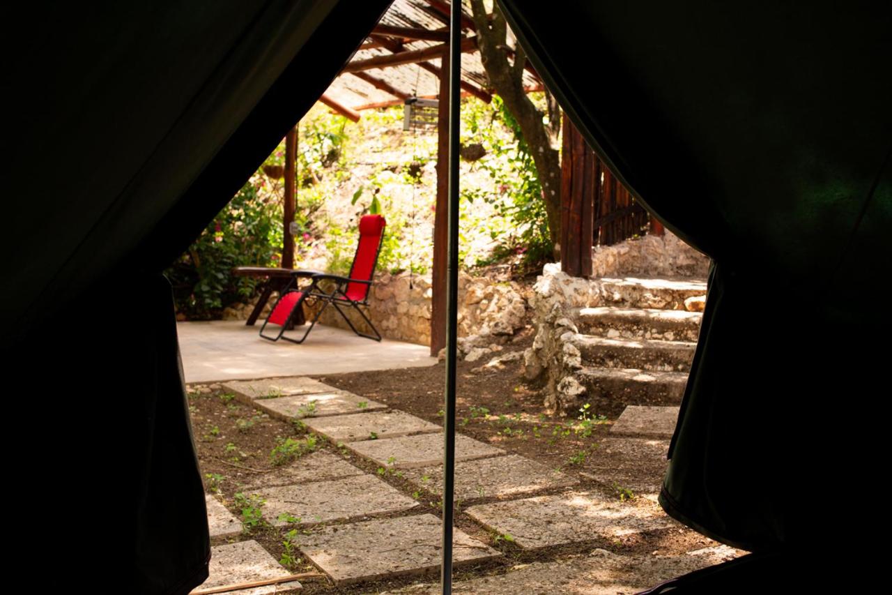Glamping Tent photo 3