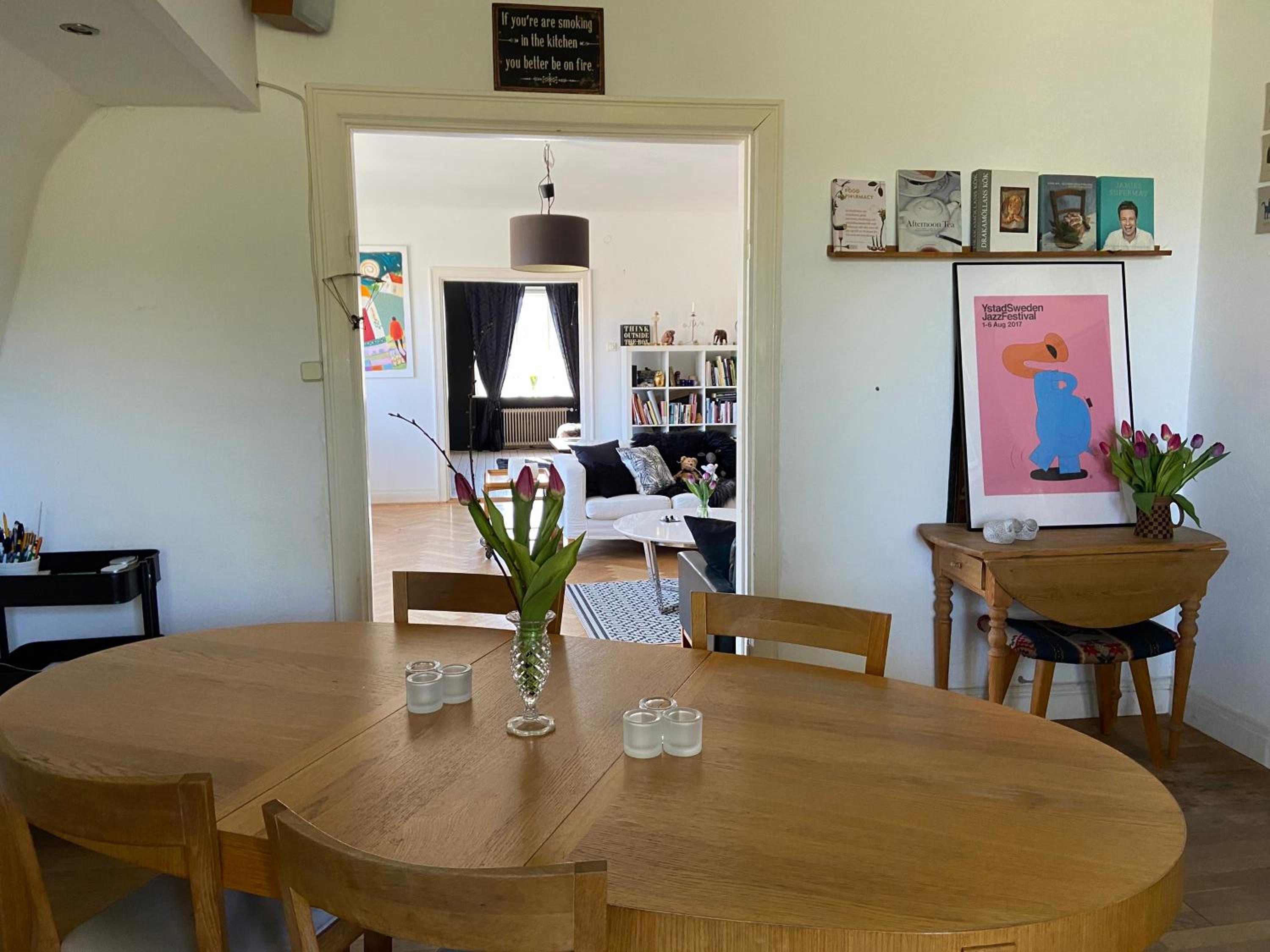 Large Apartment photo 2