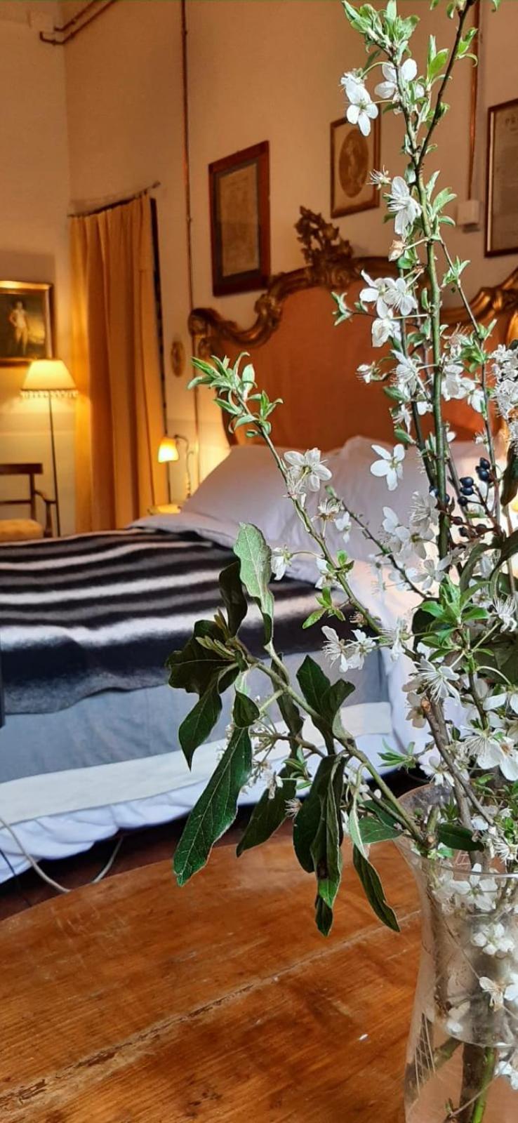 King Room photo 1