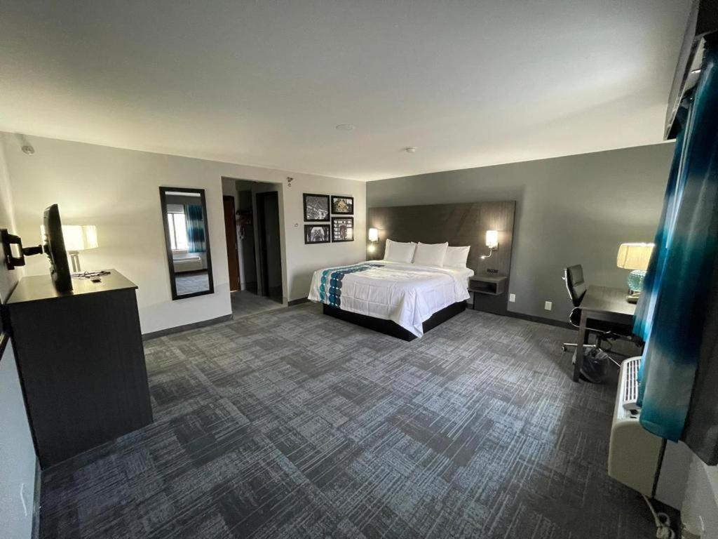 King Studio Suite - Non-Smoking - Photo 2