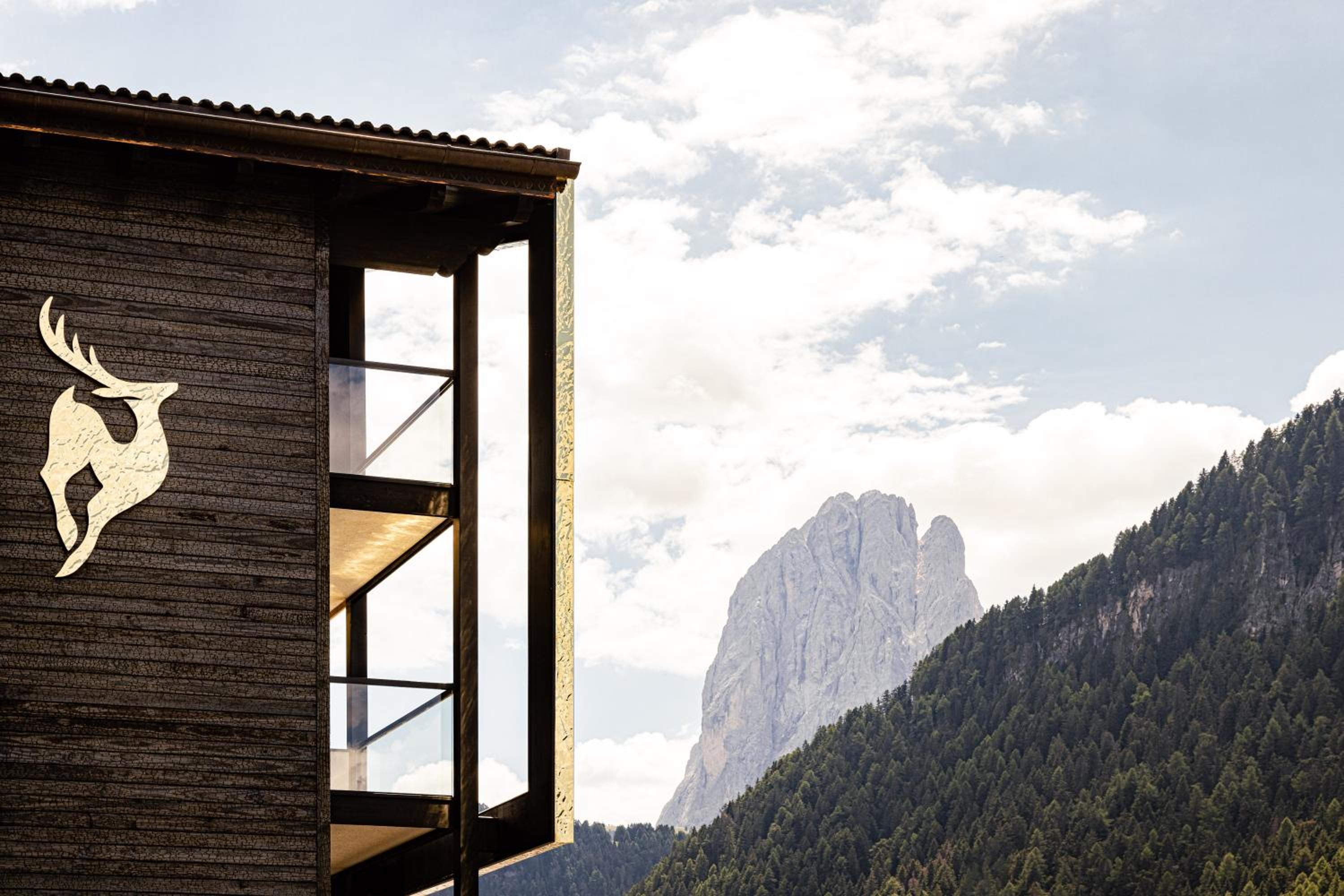 Suite with Mountain View photo 2