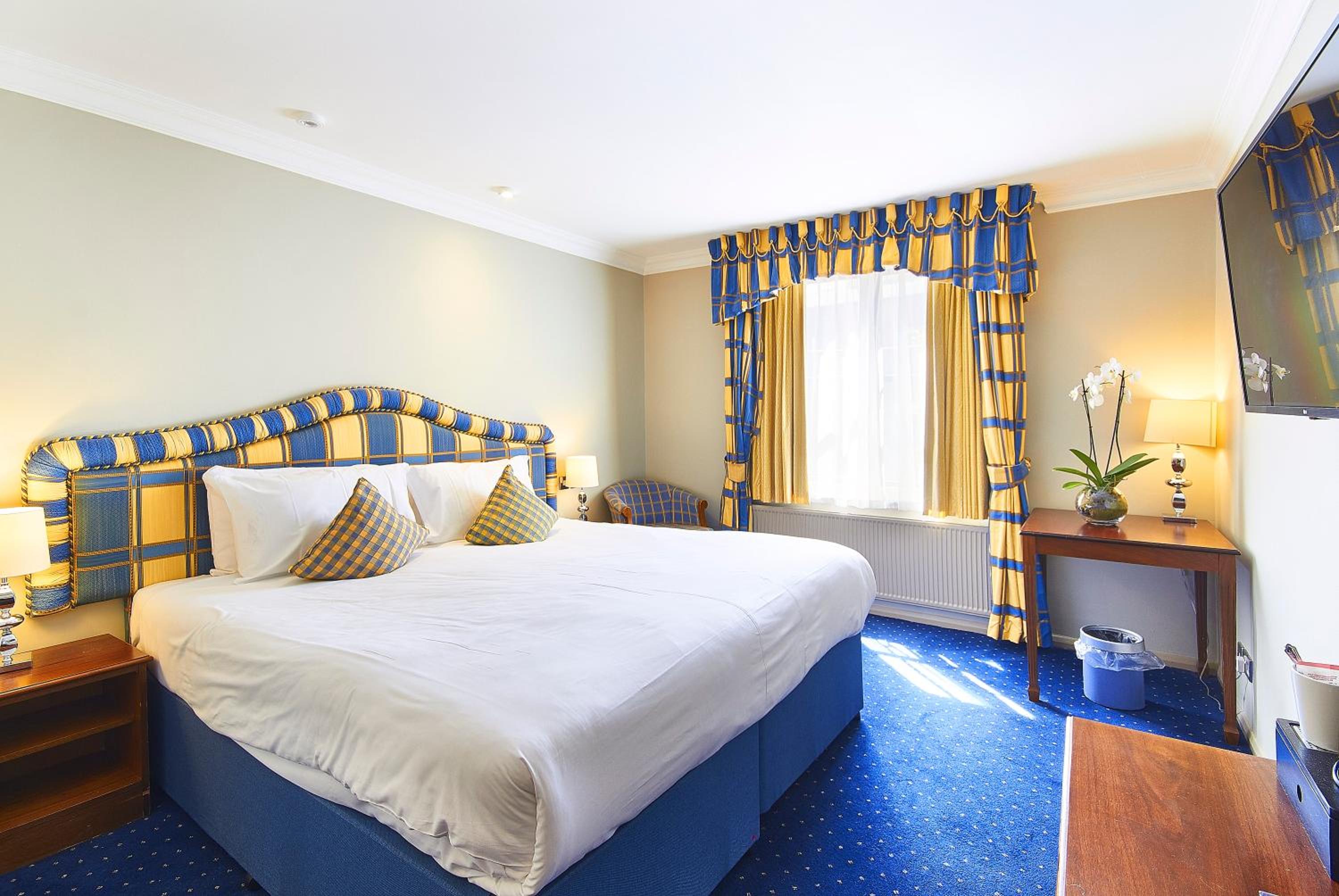 King Room photo 3