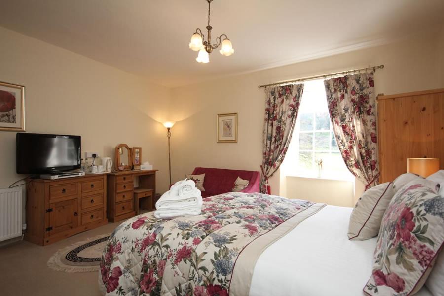 Superior King Room photo 3