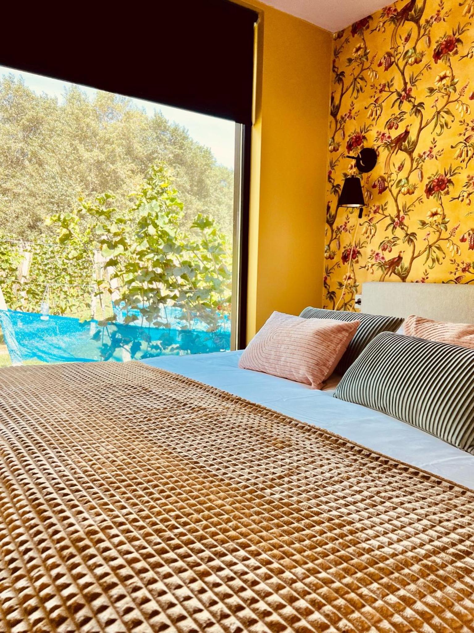 Deluxe Room photo 1