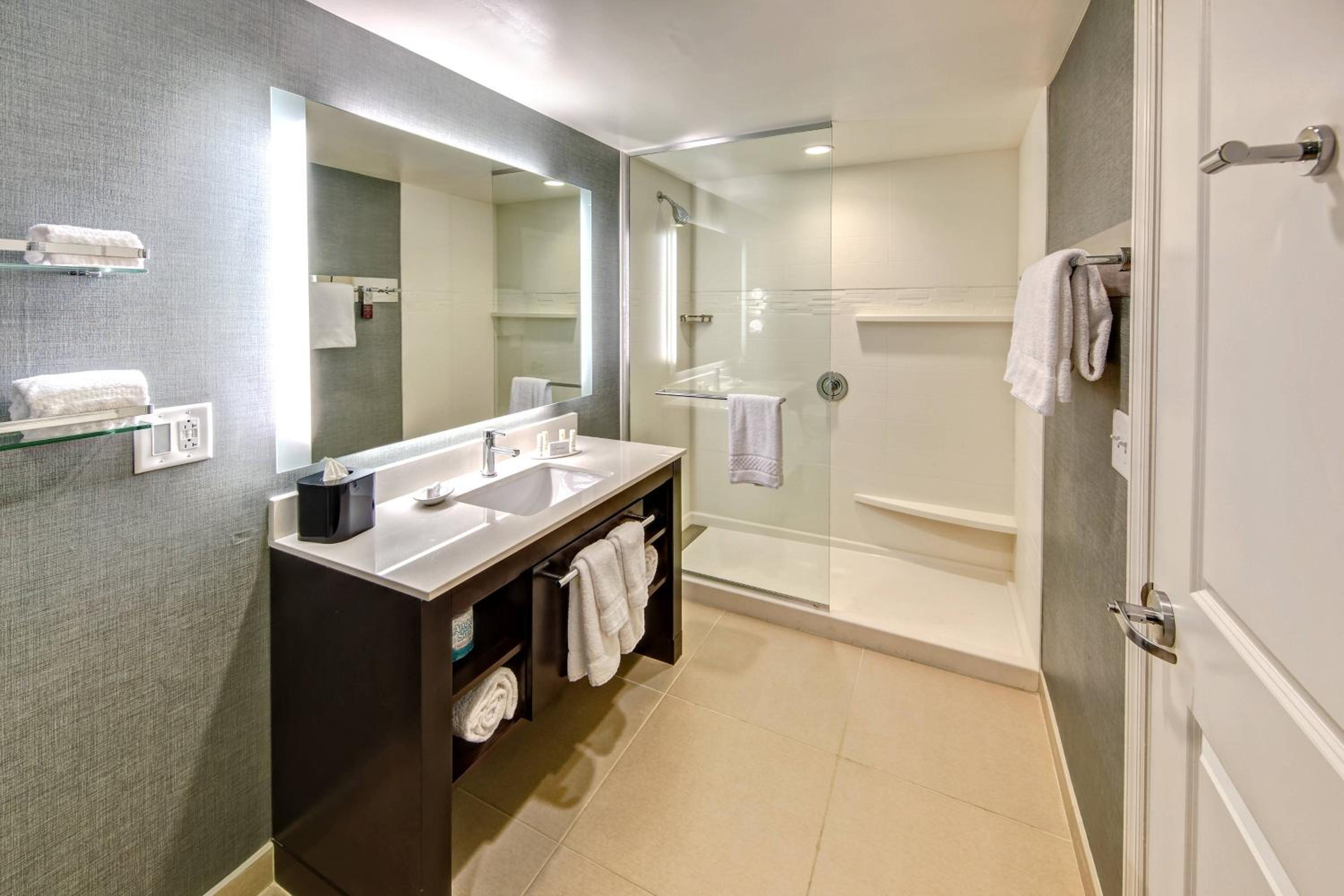 One-Bedroom King Suite with Sofa Bed and Mountain View - Hearing Accessible photo 2