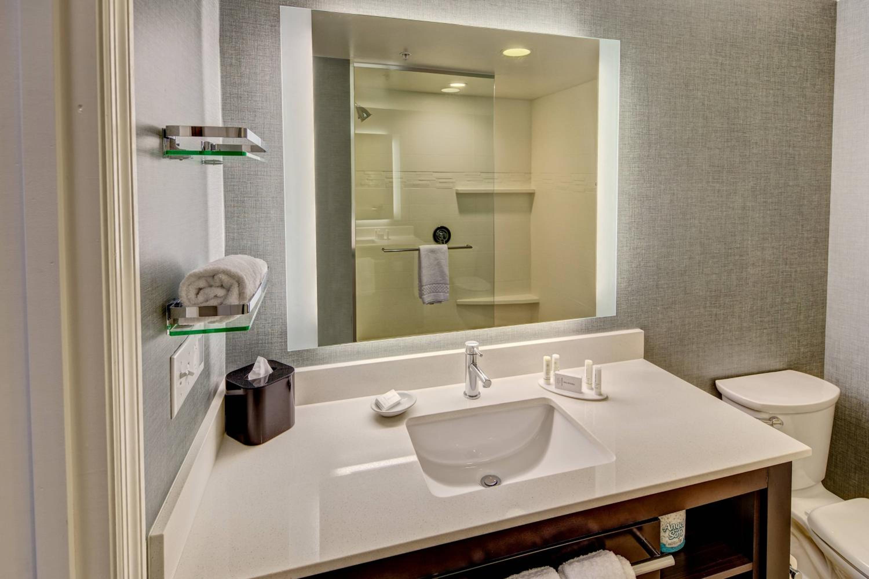 King Studio with Sofa Bed and Roll-in Shower - Mobility Accessible photo 2
