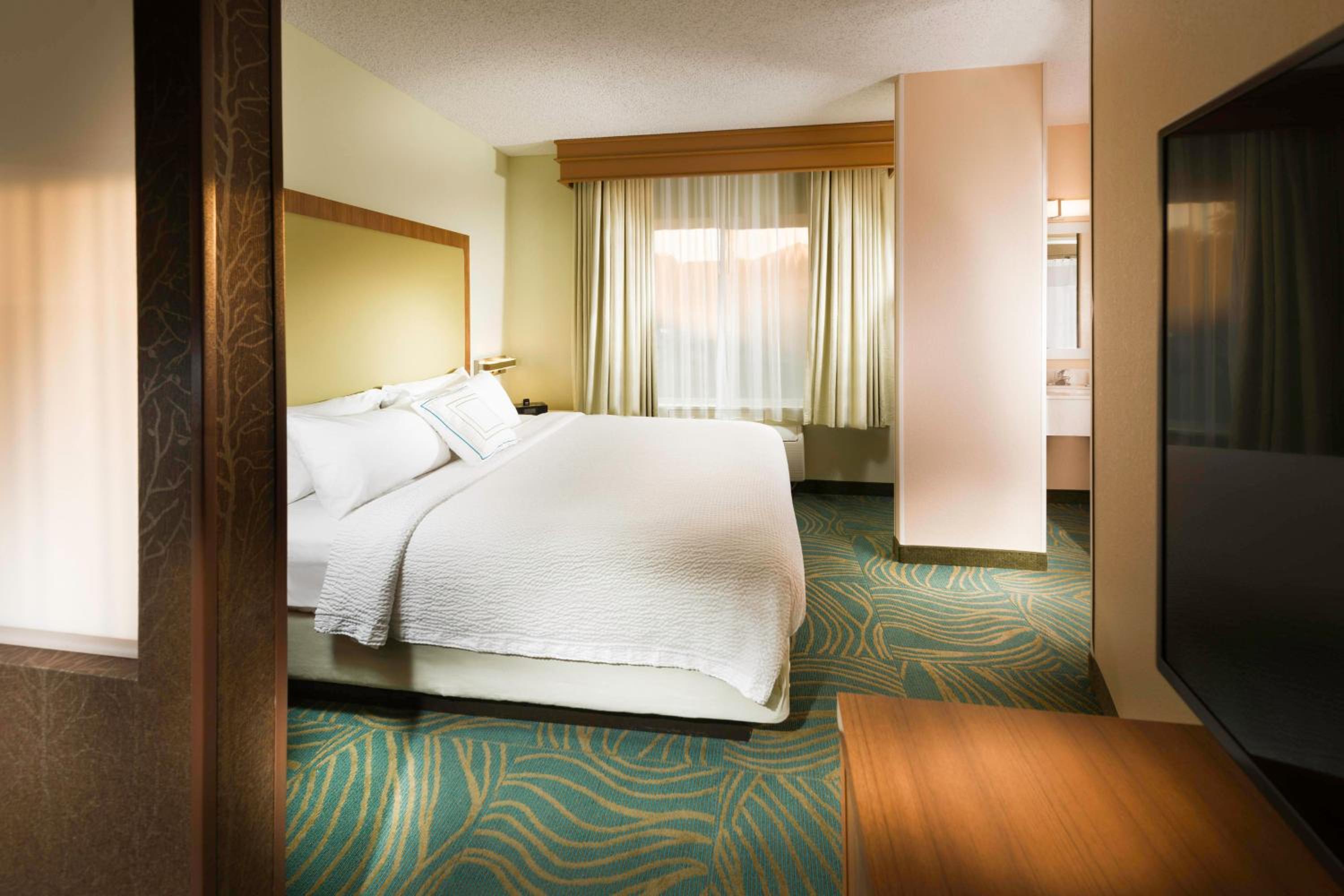 King Suite with Sofa Bed - Photo 4