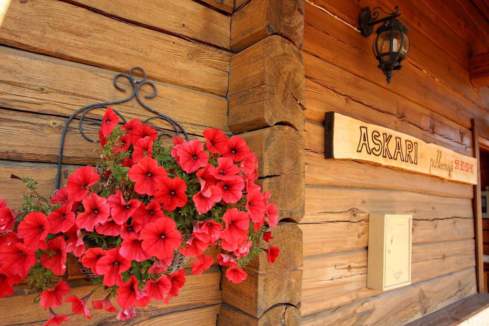 Vacation Home photo 1