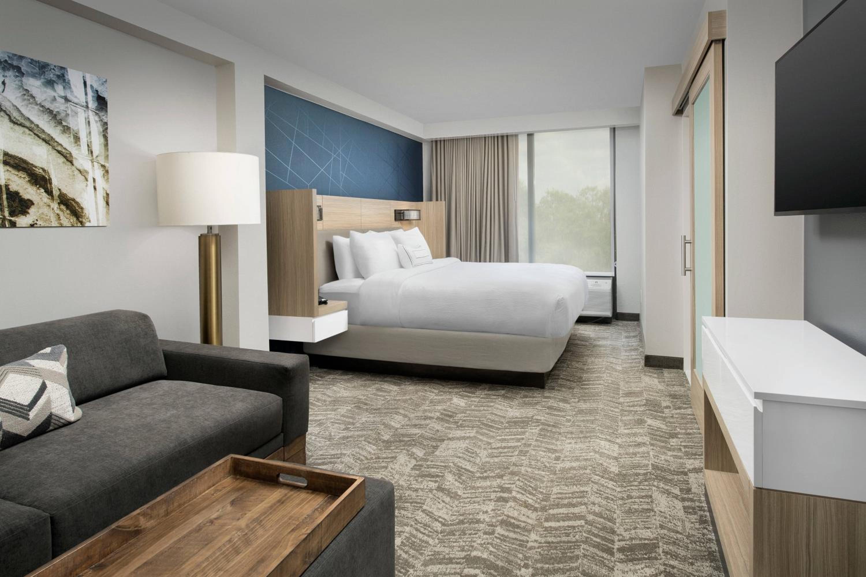 King Suite with Sofa Bed - Photo 1