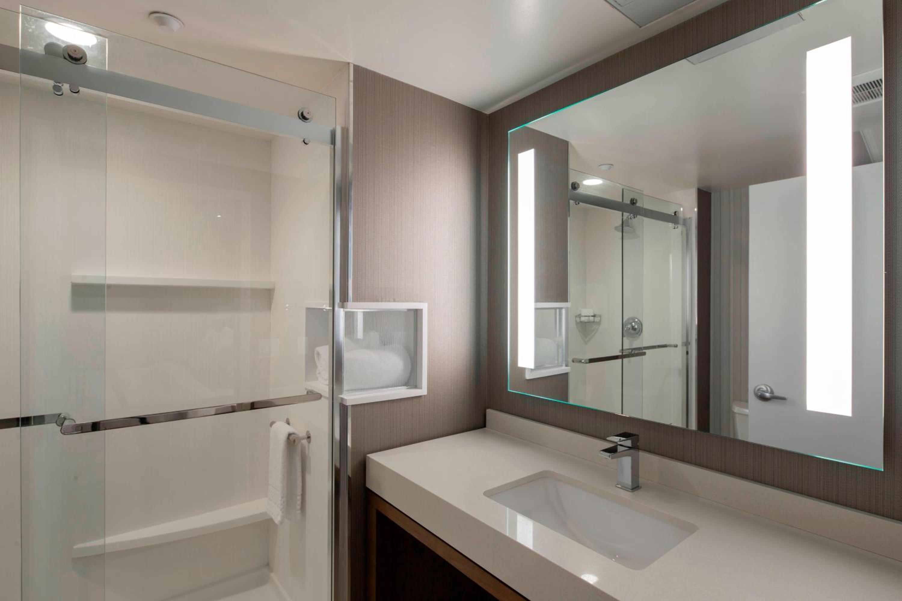 King Room with Roll-in Shower - Mobility and Hearing Accessible, photo 6