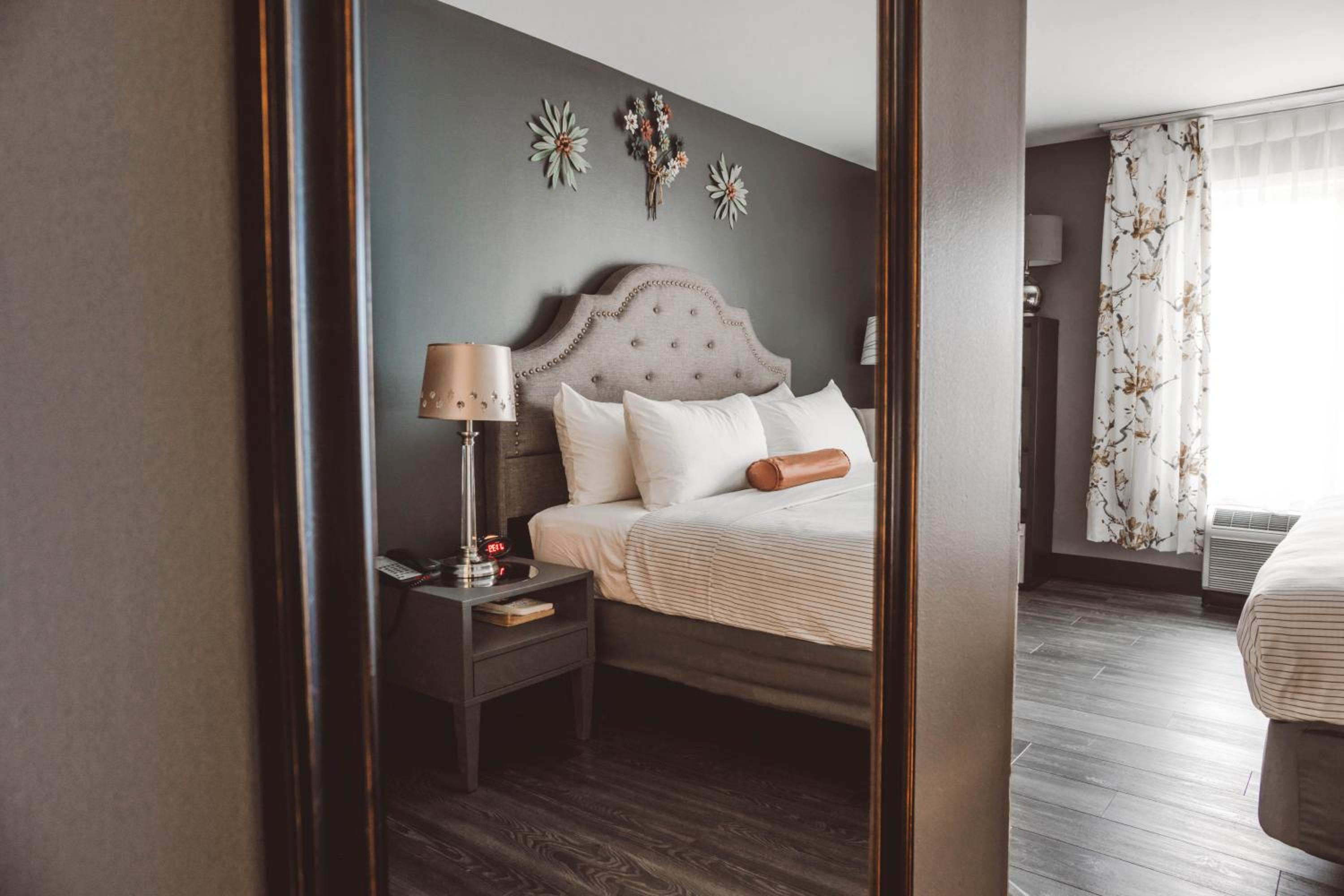 Suite - Photo 1