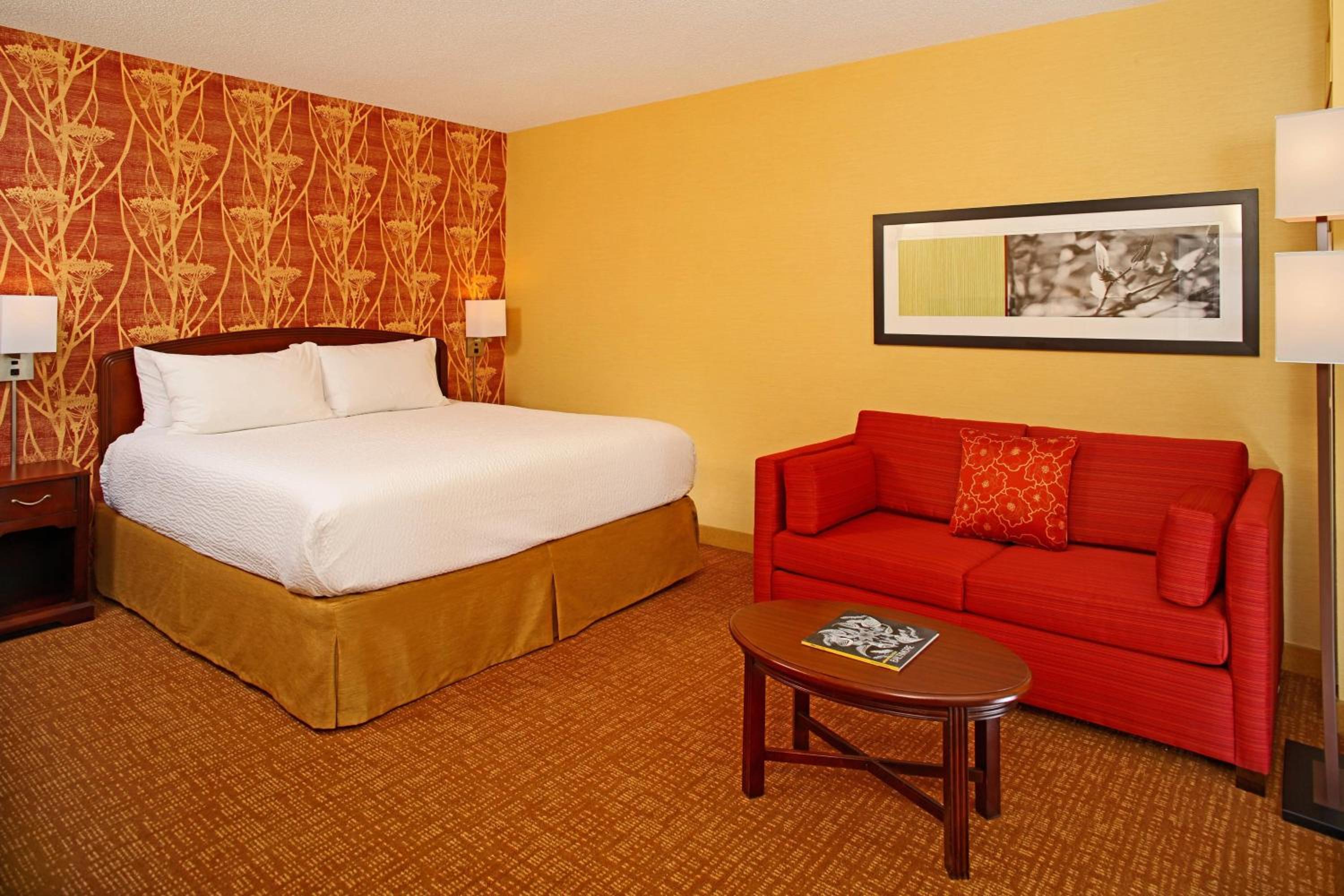 King Room with Sofa Bed photo 1