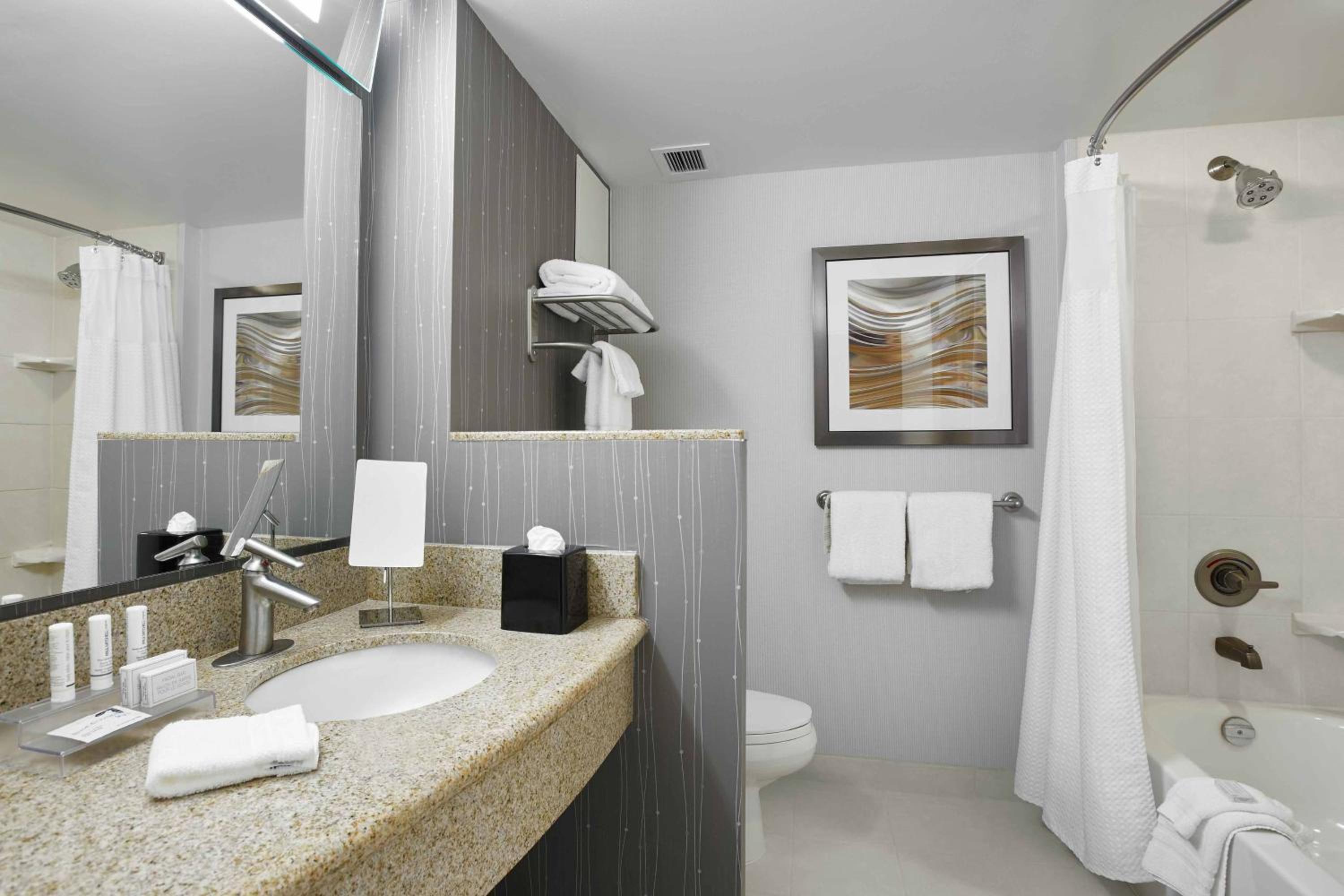 1 Bedroom Larger Suite, 1 King