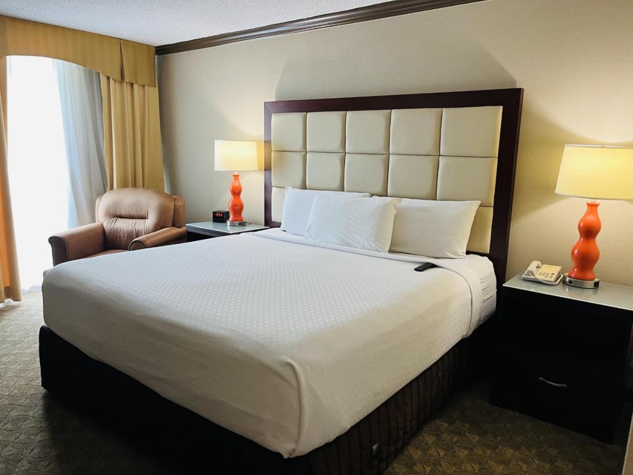 King Room - Non-Smoking - Photo 4