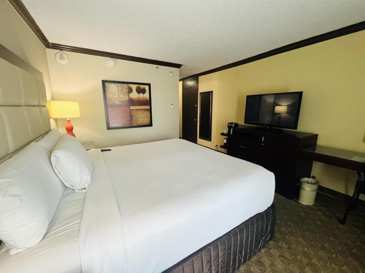 King Room - Non-Smoking - Photo 7