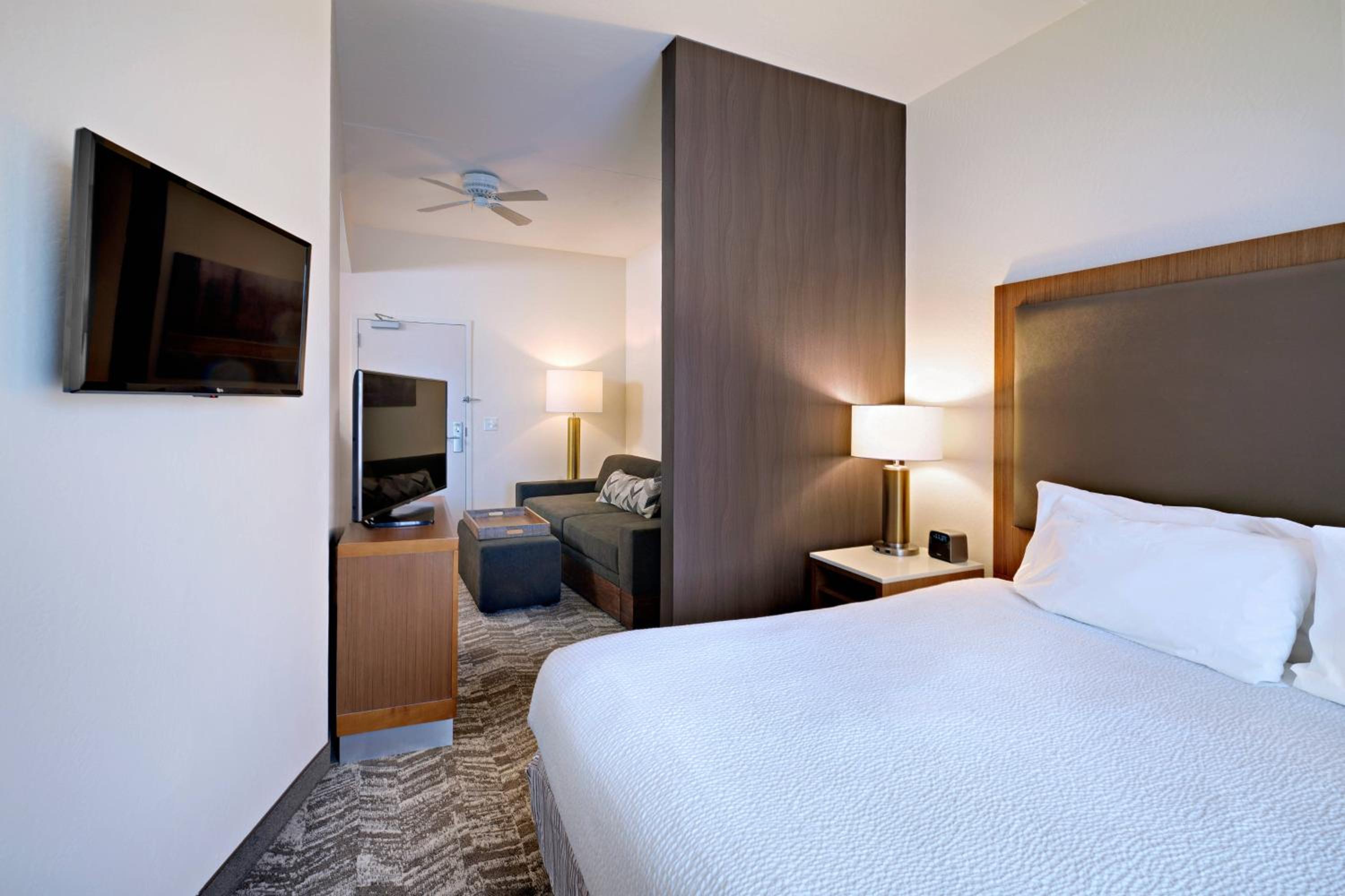 King Suite with Sofa Bed - Photo 3