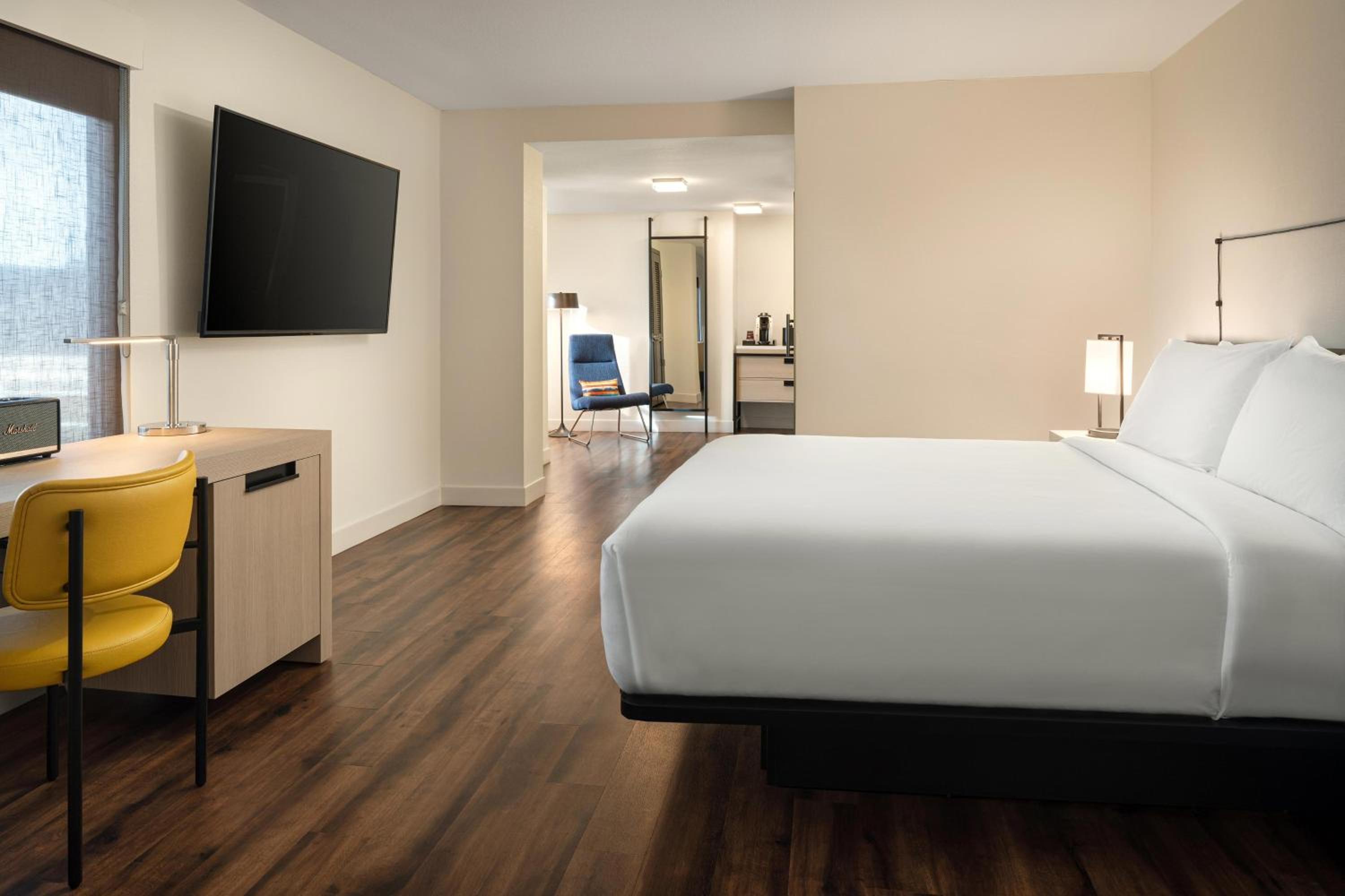 Savvy Plus, Larger Guest room, 1 King, Sofa bed - Photo 2