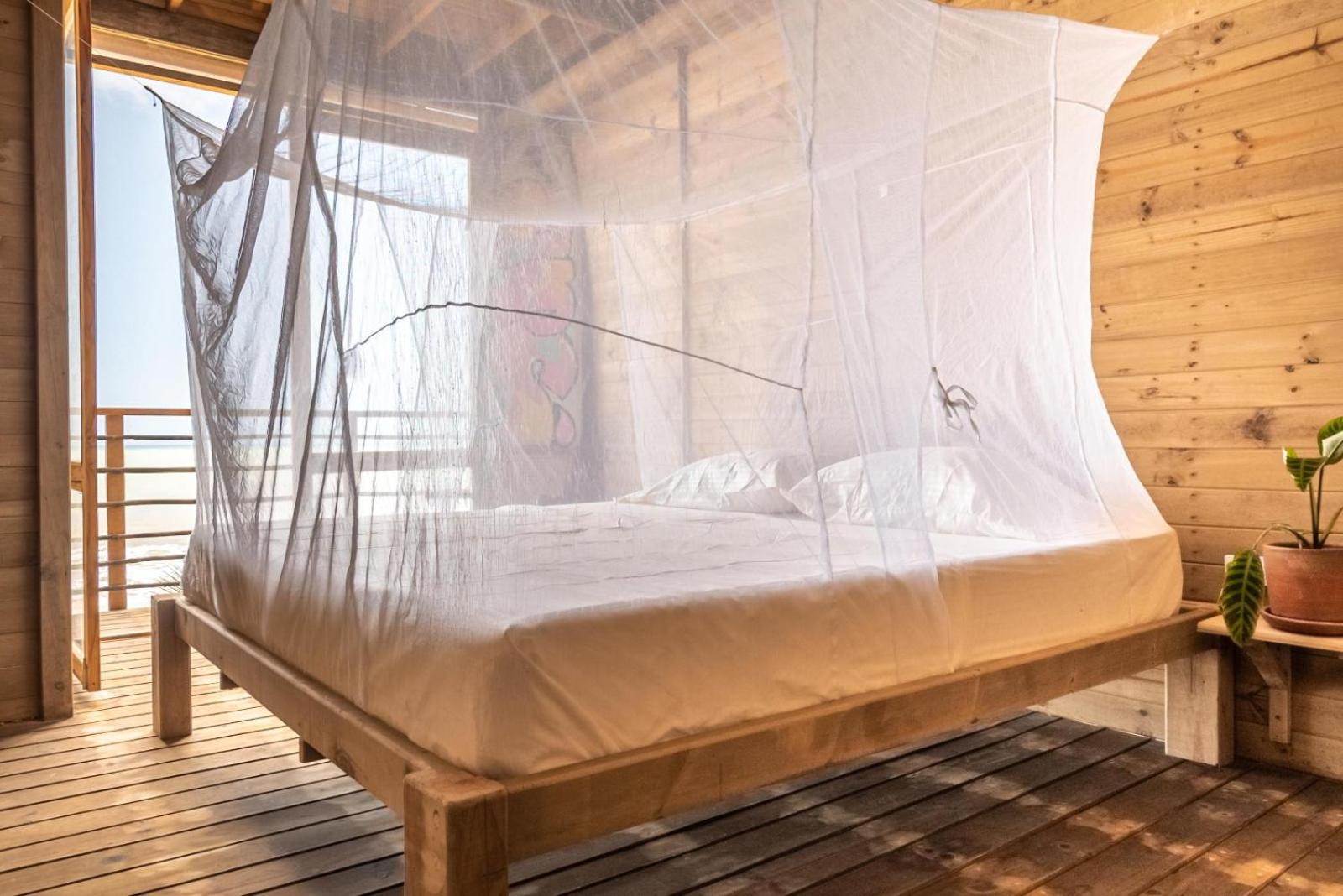 King Room with Sea View photo 1